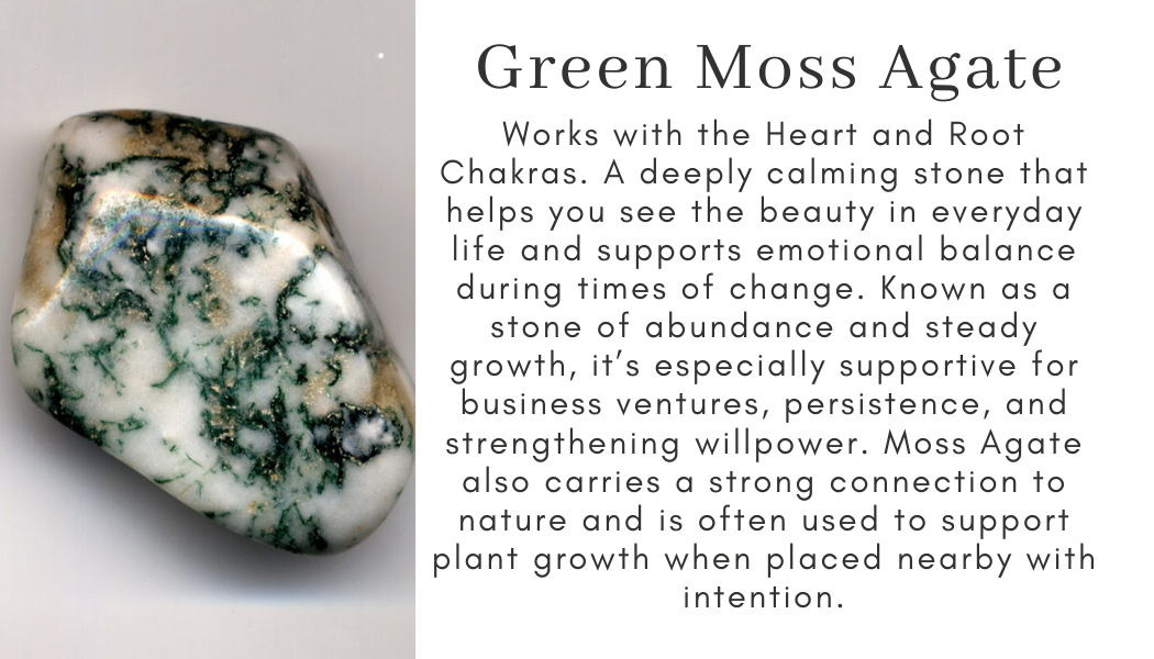 green moss agate crystal Find Your Center Seattle