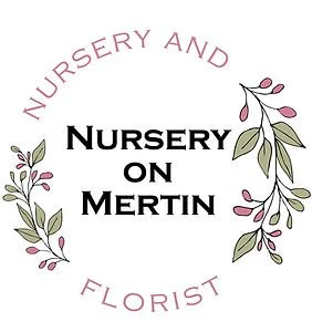 _Fashions_Nursery on Mertin Logo.jpeg