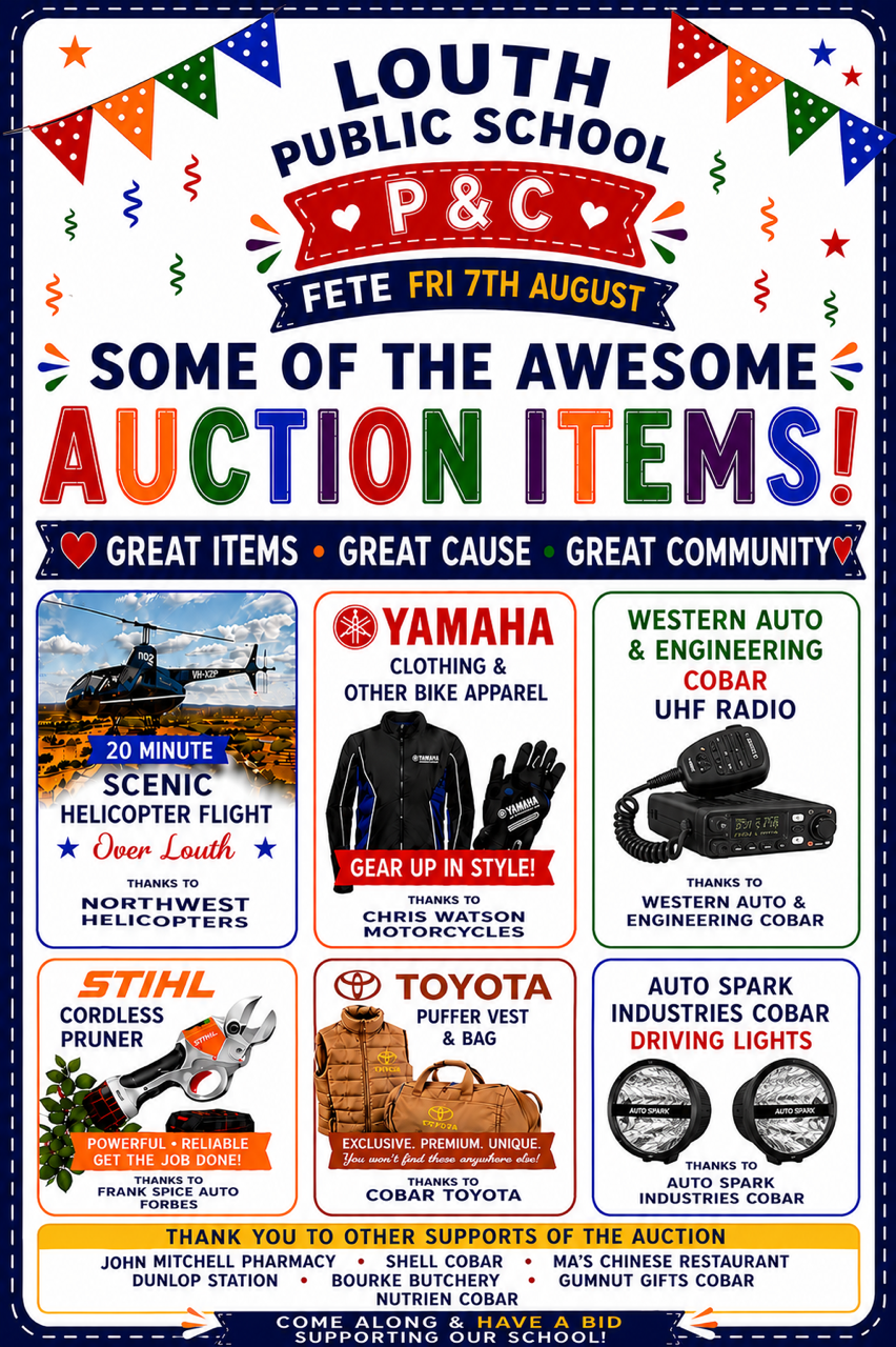 Louth PS Fete 3.PNG