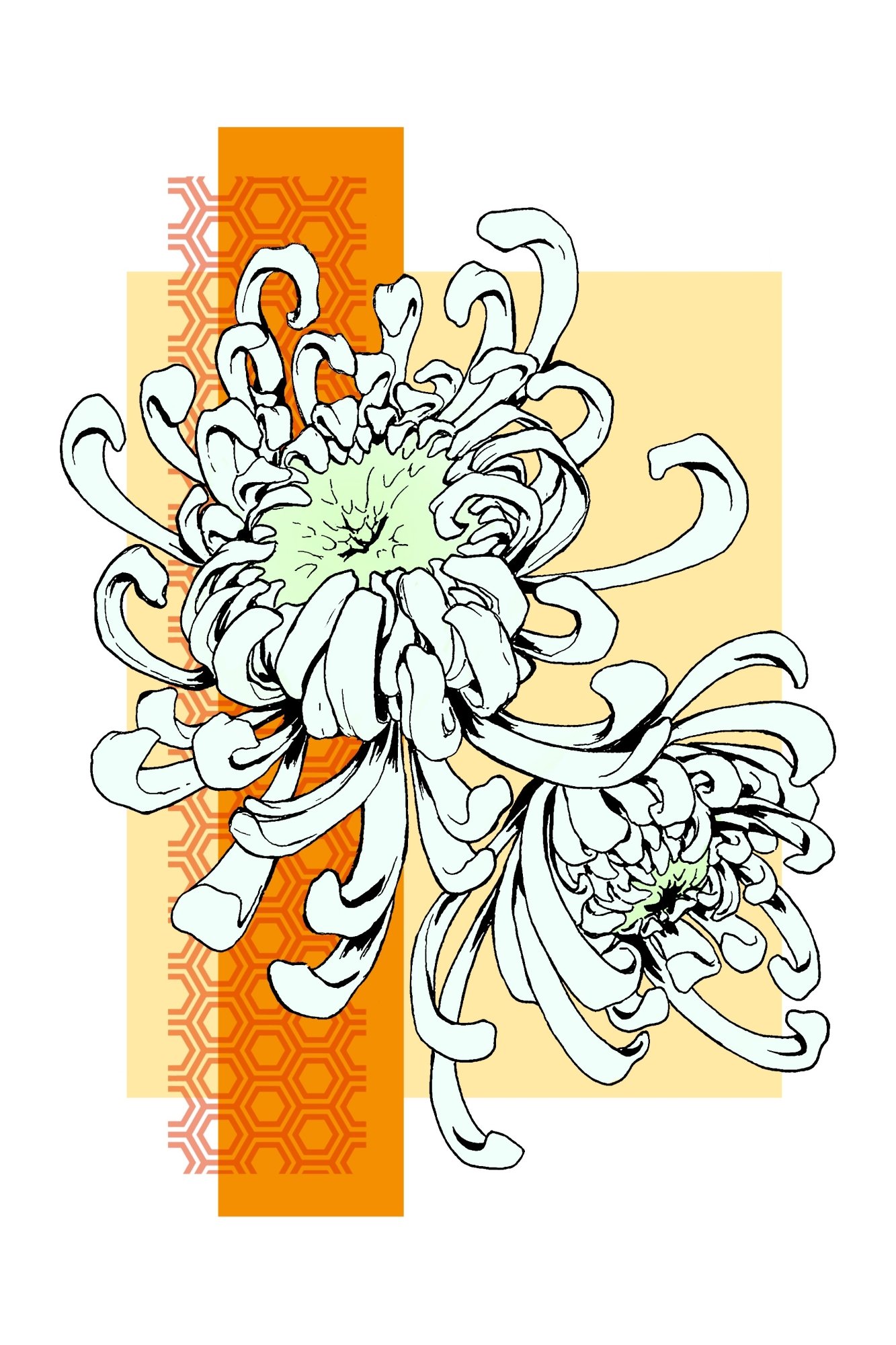 Chrysanthemum Print