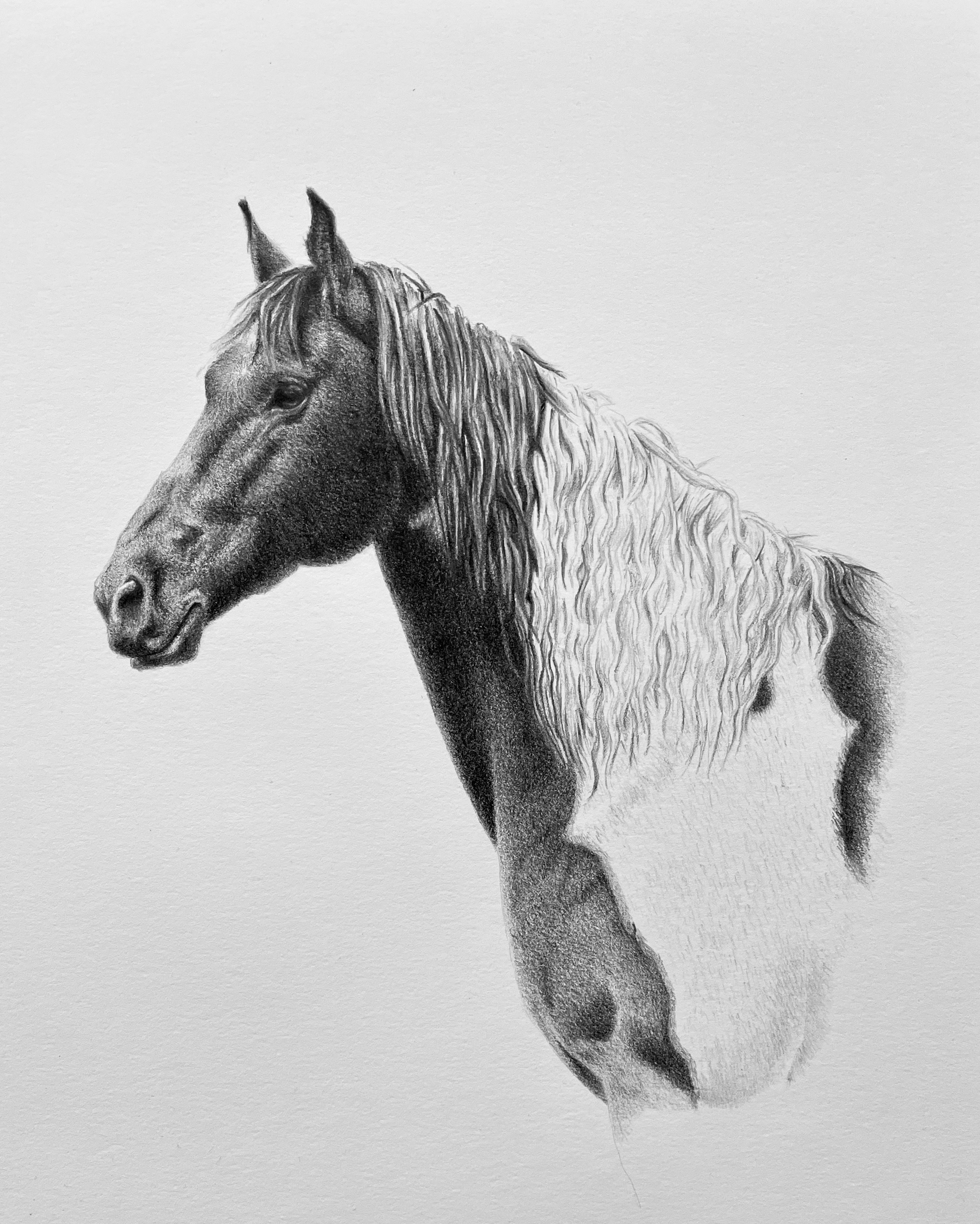Cody, Graphite, 2025