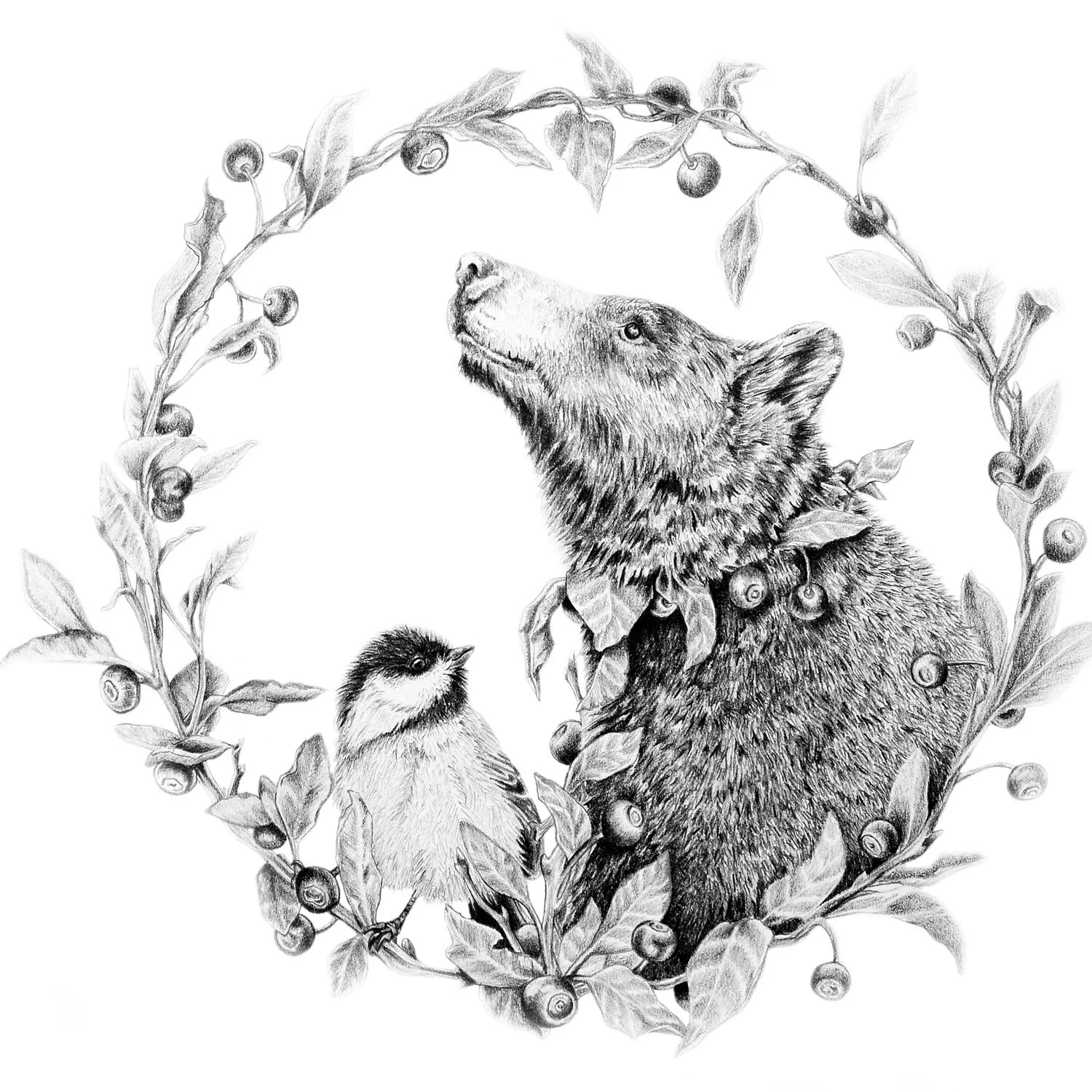 Hucklebear and Friend, graphite, 2019