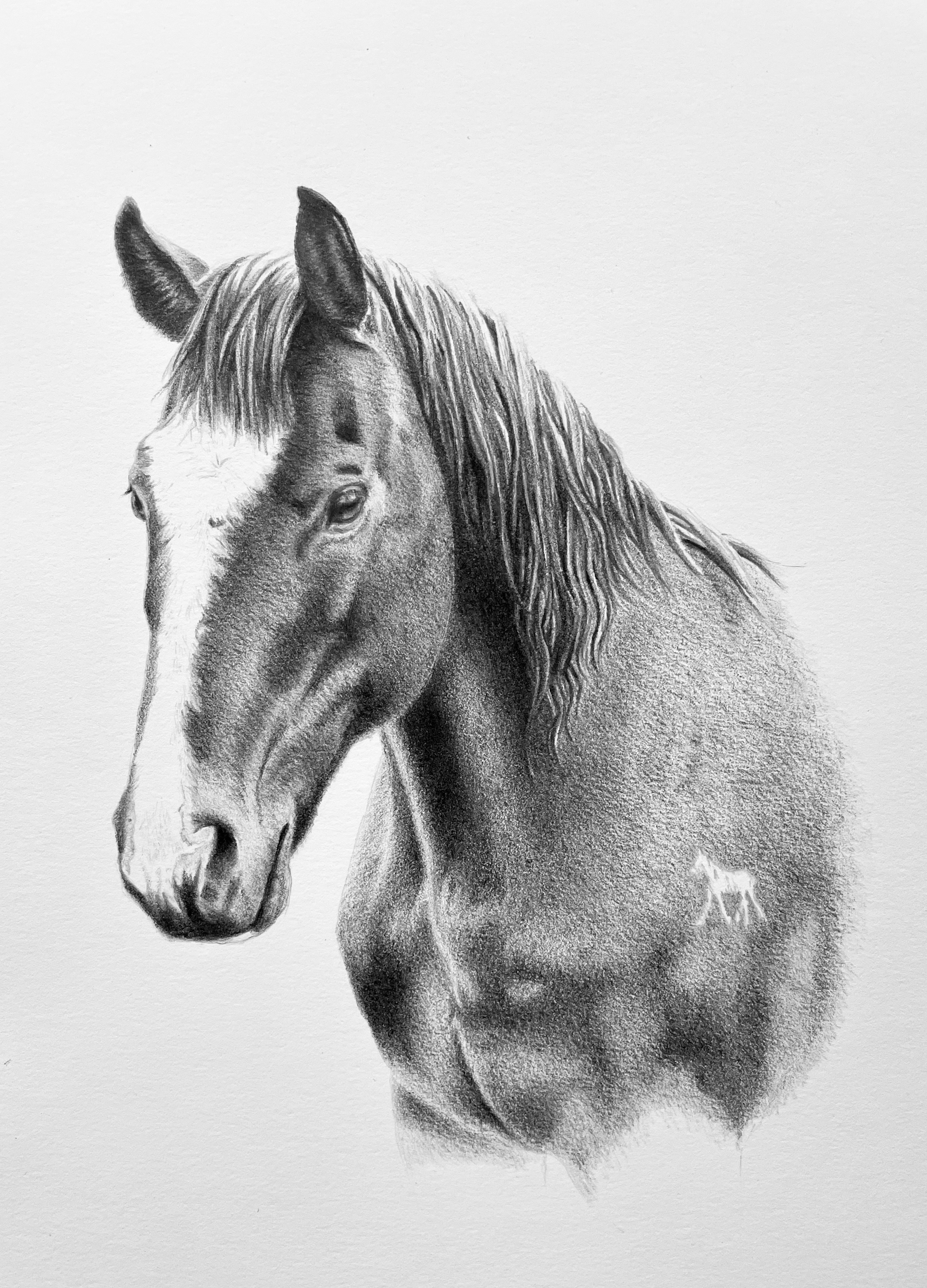 Dreago, Graphite, 2025