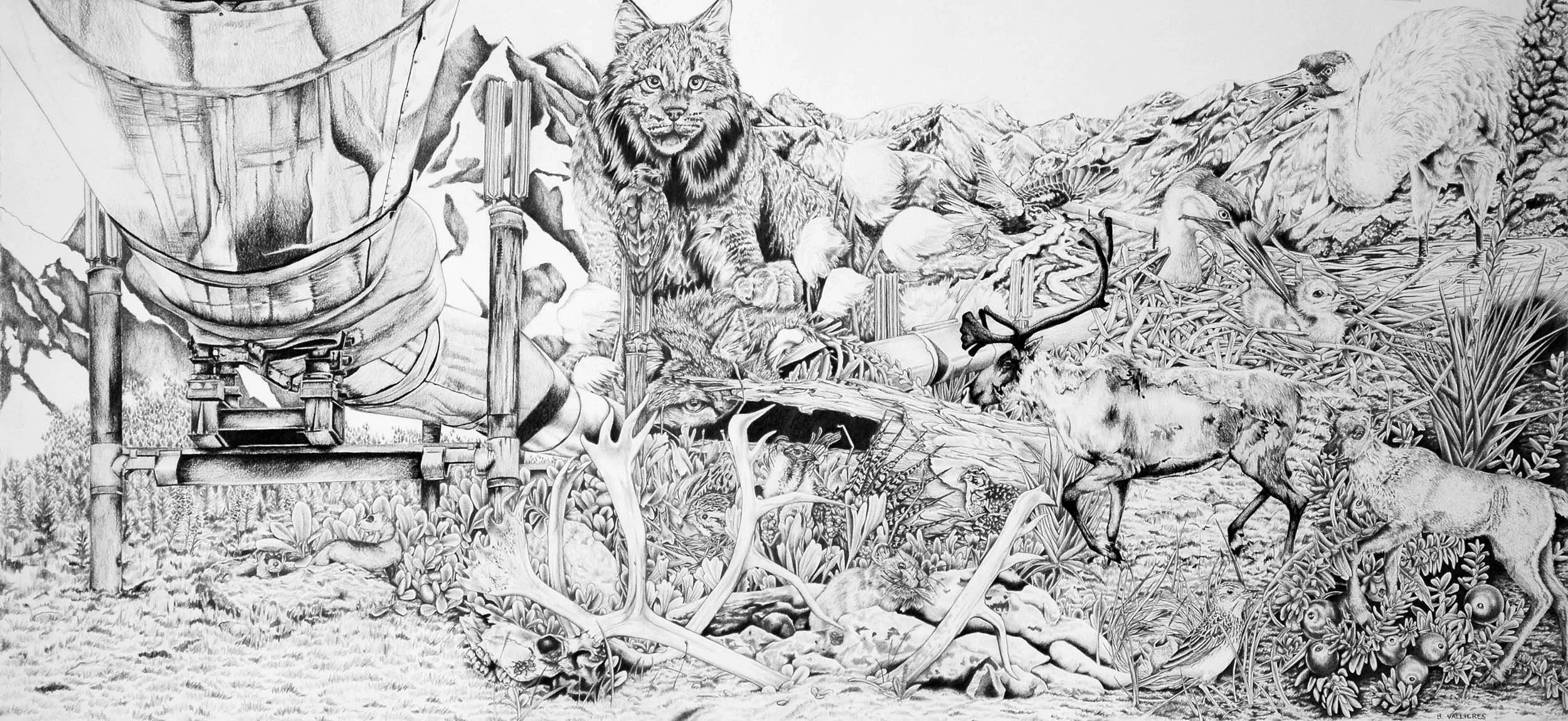 Keystone XL, graphite, 2019