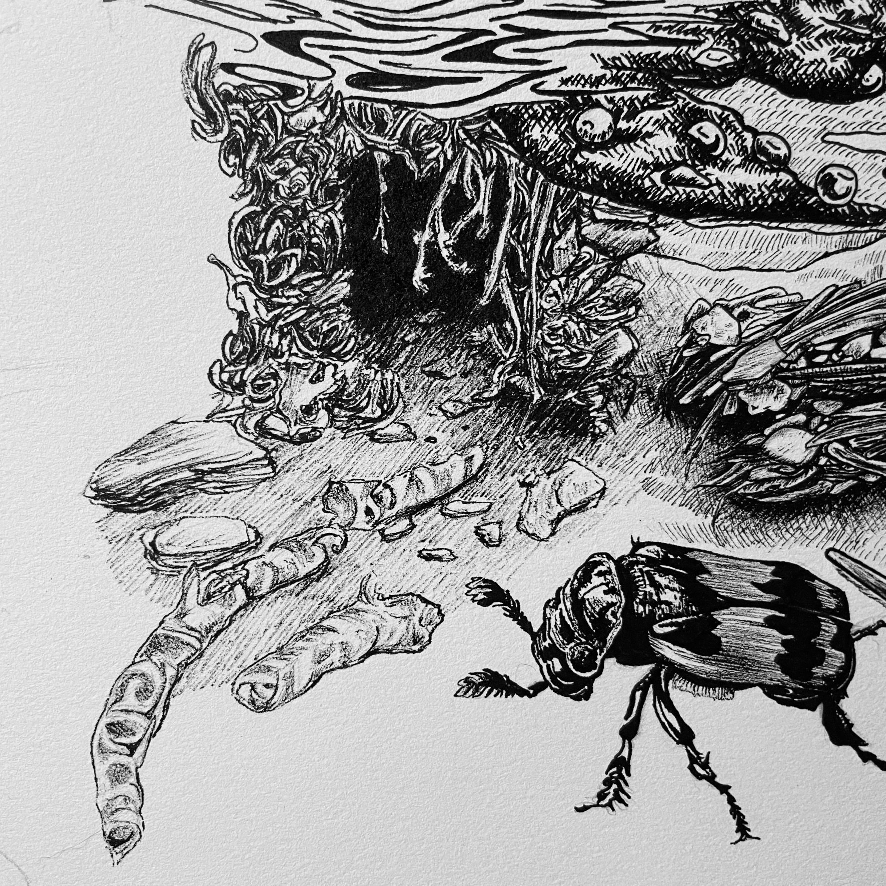 Day 13, Burying Beetle and Snake Den, pen and ink, 2022