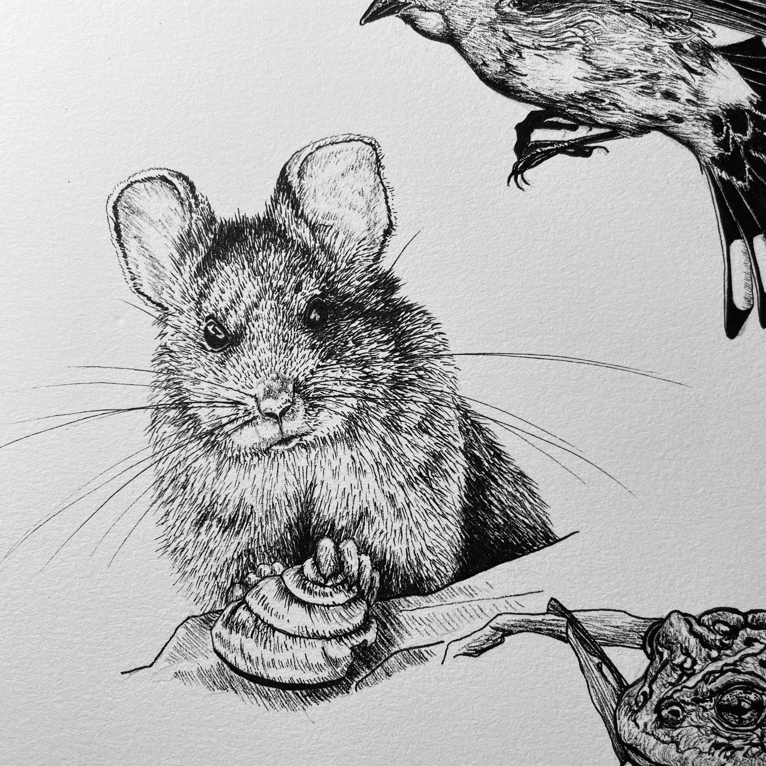 Day 22, Scrat, pen and ink, 2022