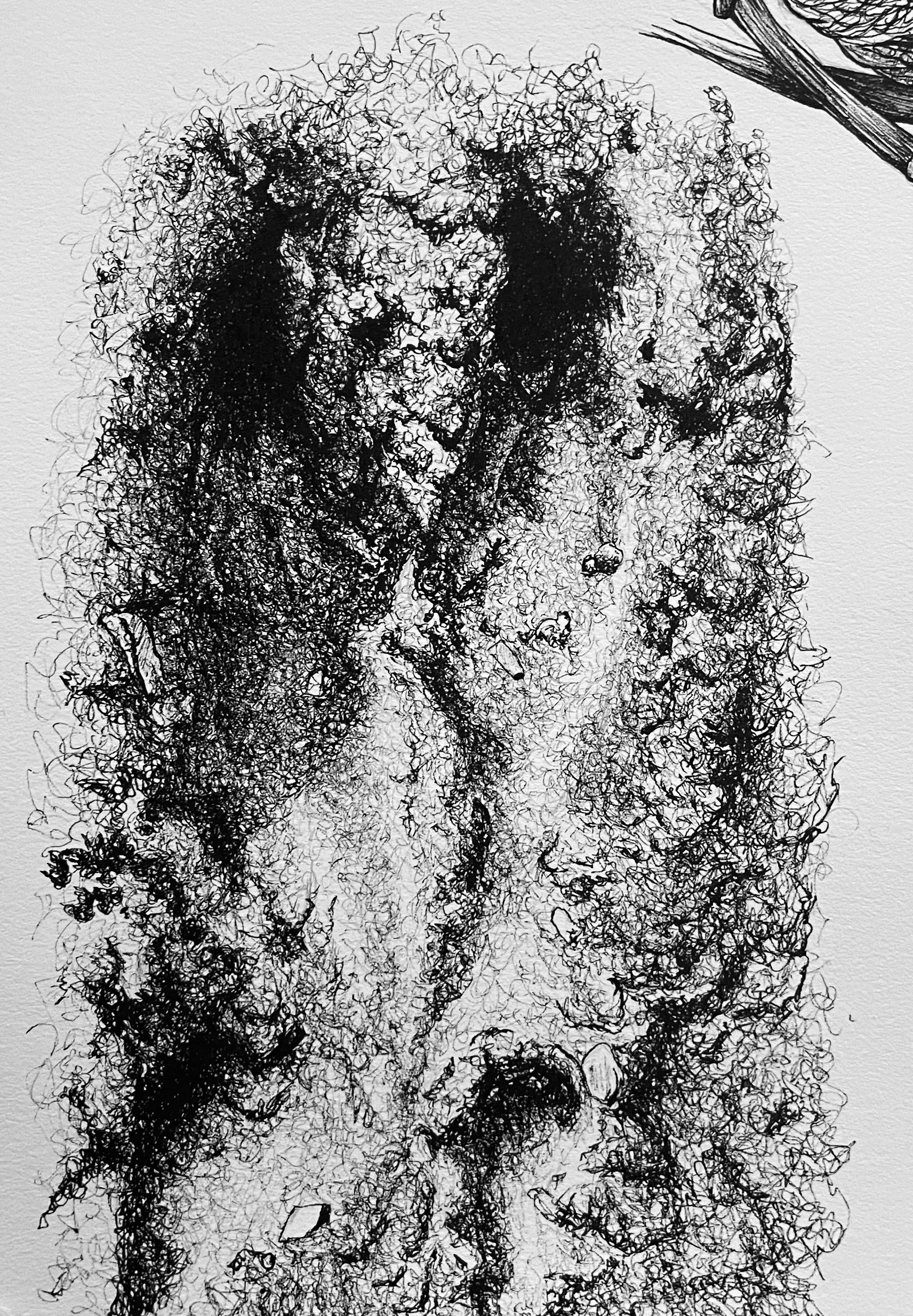 Day 19, Moose Track, pen and ink, 2022