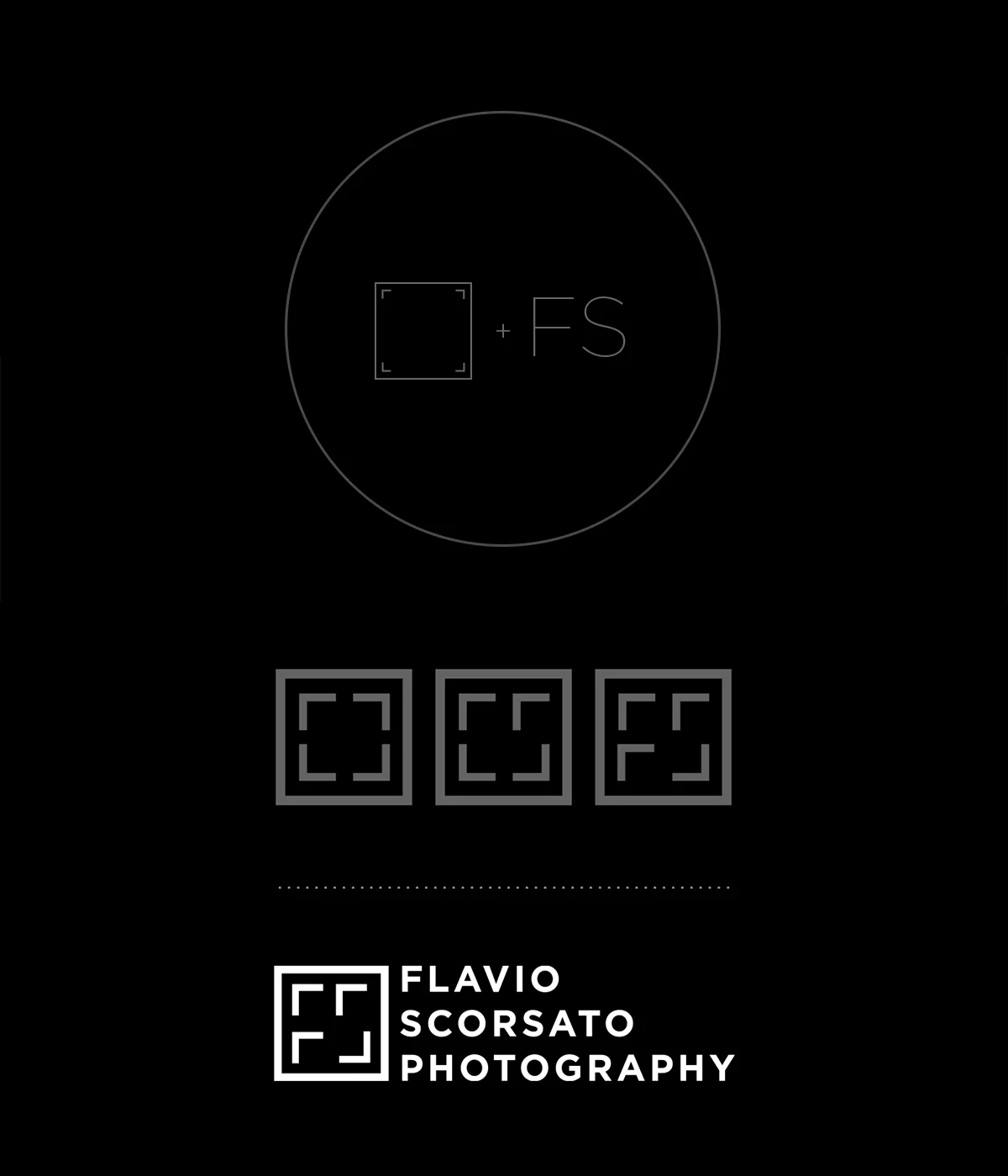 flavio_logo.jpg