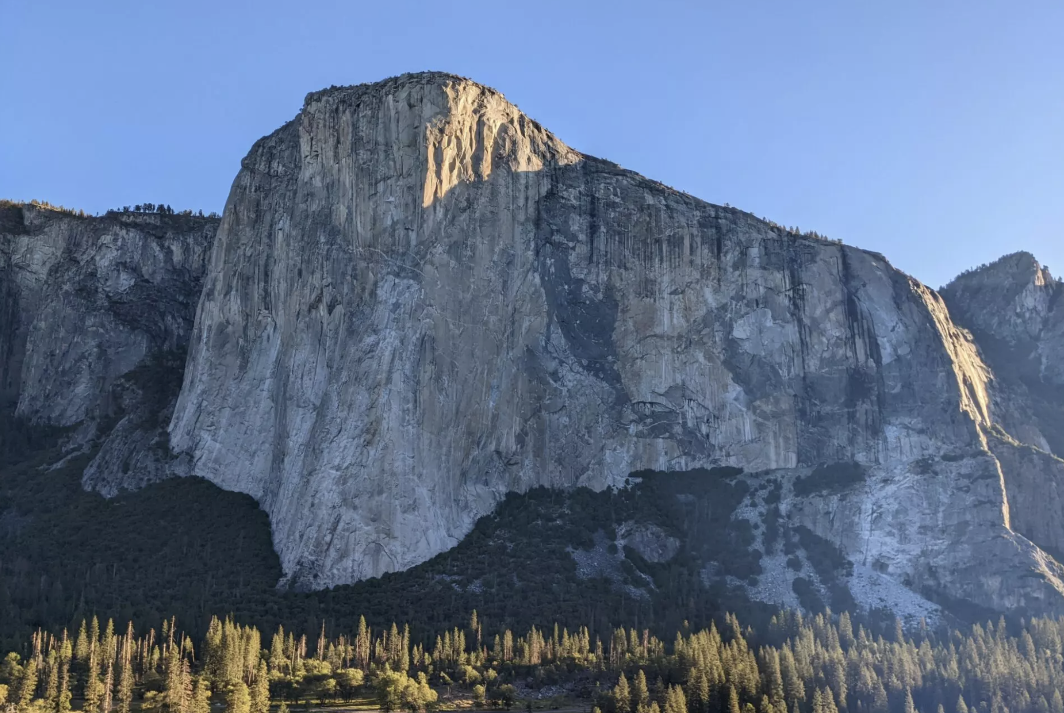 Climb El Cap at Movement Englewood!