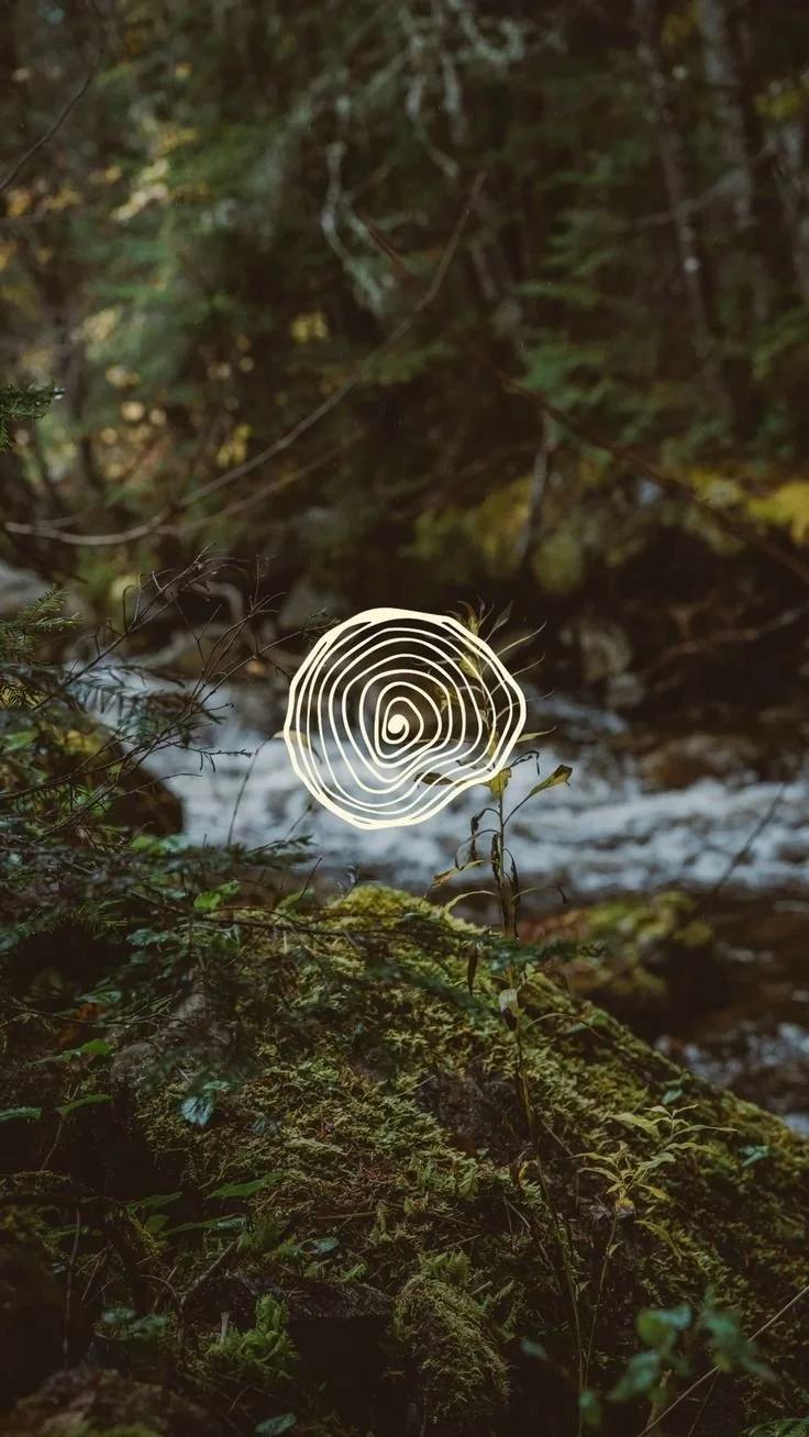 Winter Solstice Reflections: Nine Souls, One Flame.