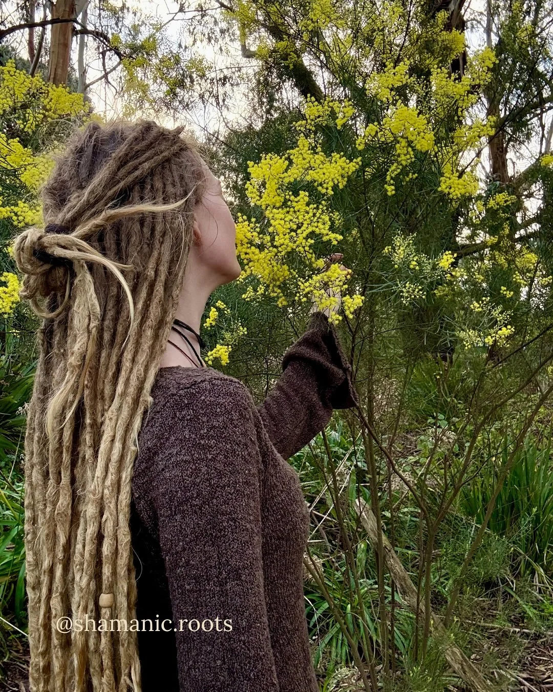 The wattle is blooming, the light is shifting and the song of the kookaburras arrives just a little earlier each day. I can feel the Earth turning toward the light again.

Imbolc has arrived. A tender threshold between winter and spring. In this blog