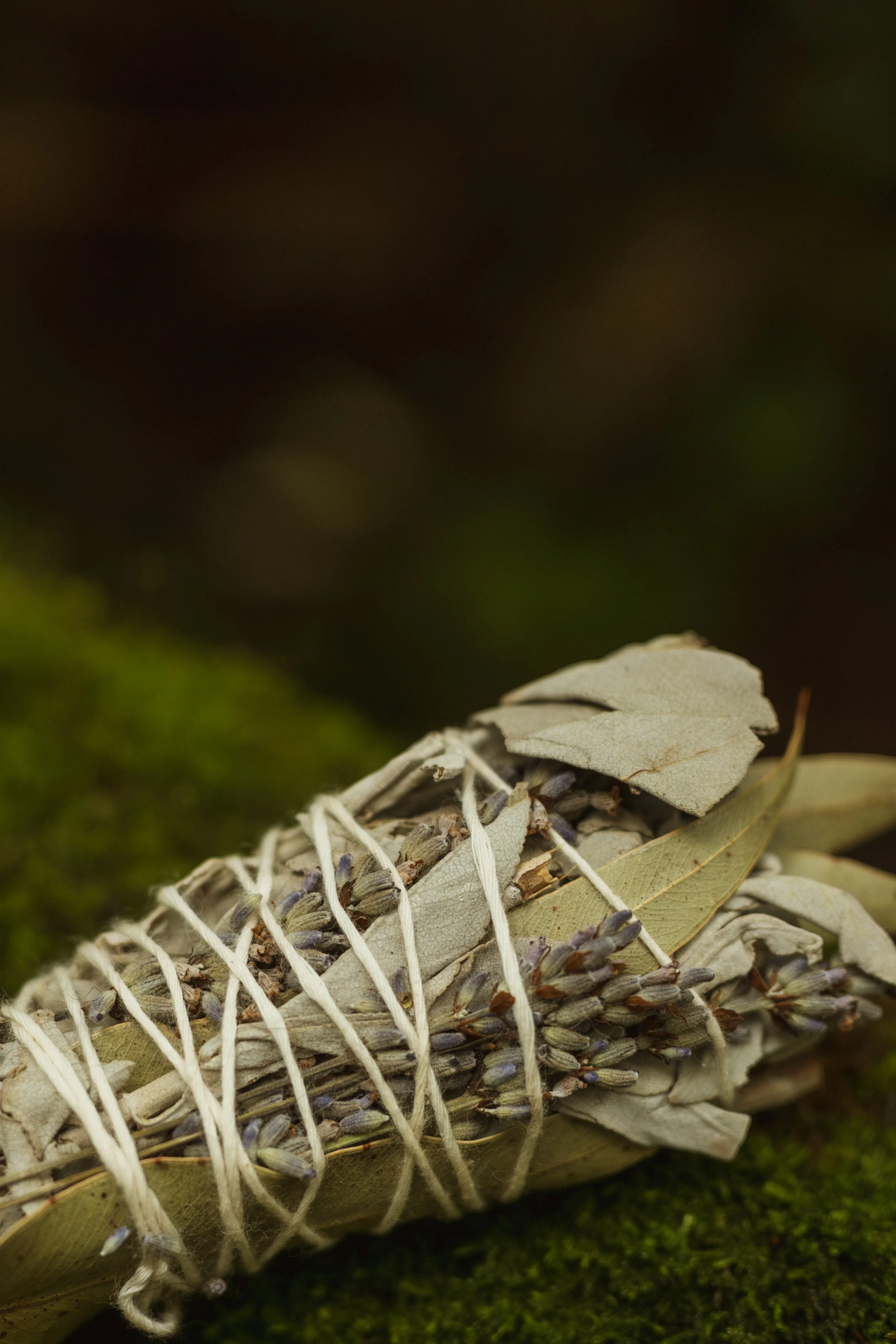 DSCF7990.jpg