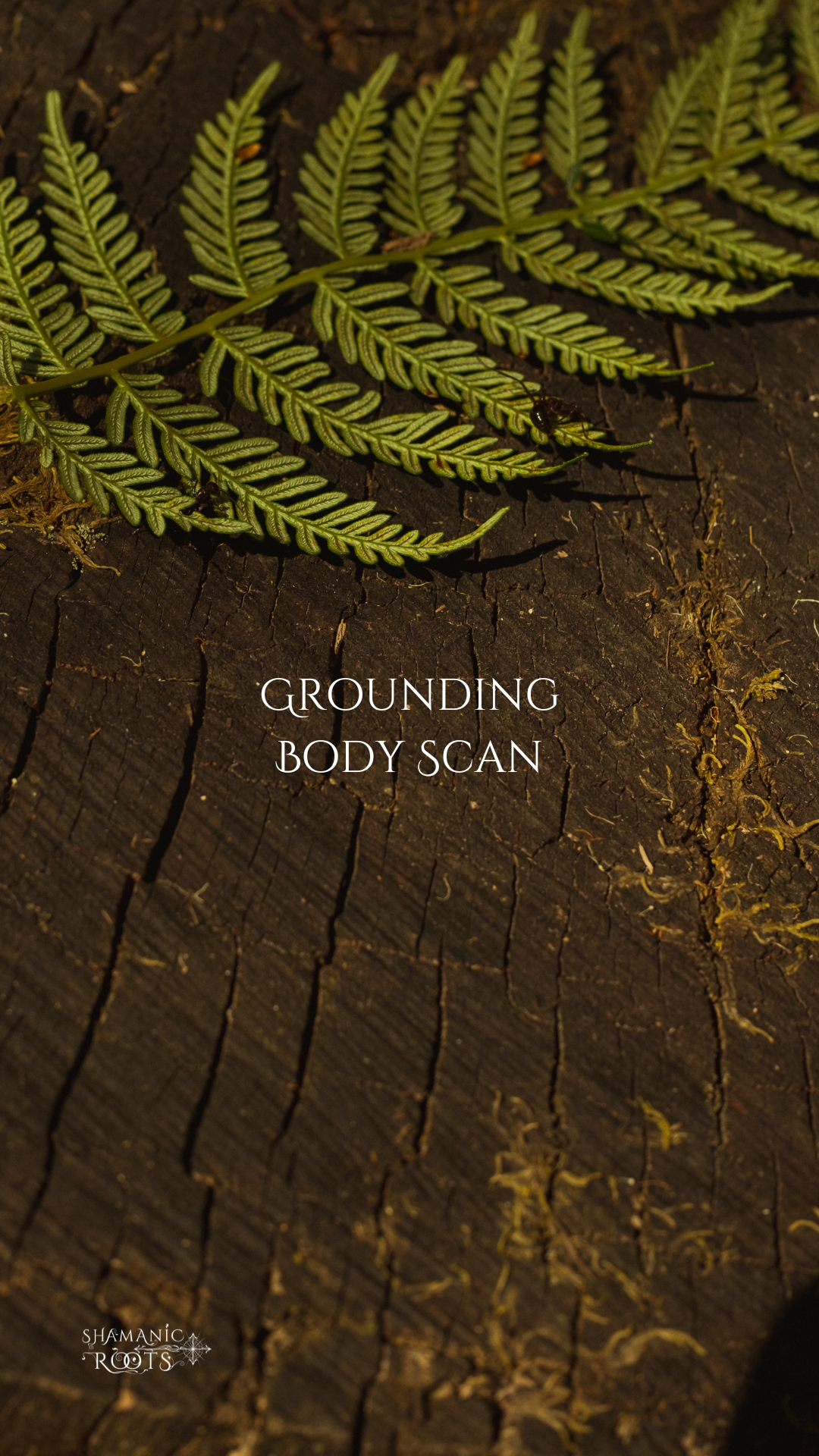 Shamanic Roots Grounding Body Scan.png