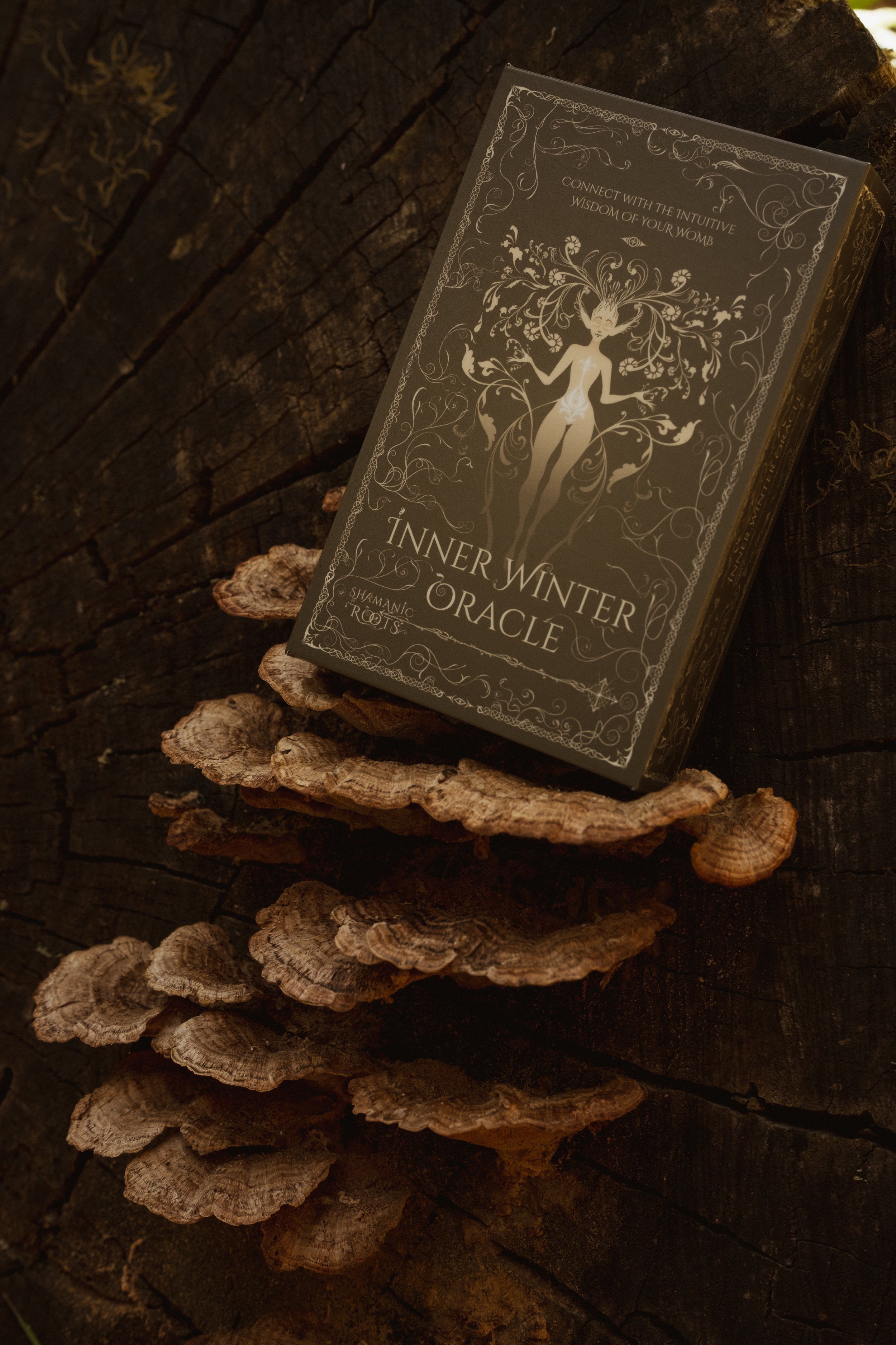 Inner Winter Oracle Cards