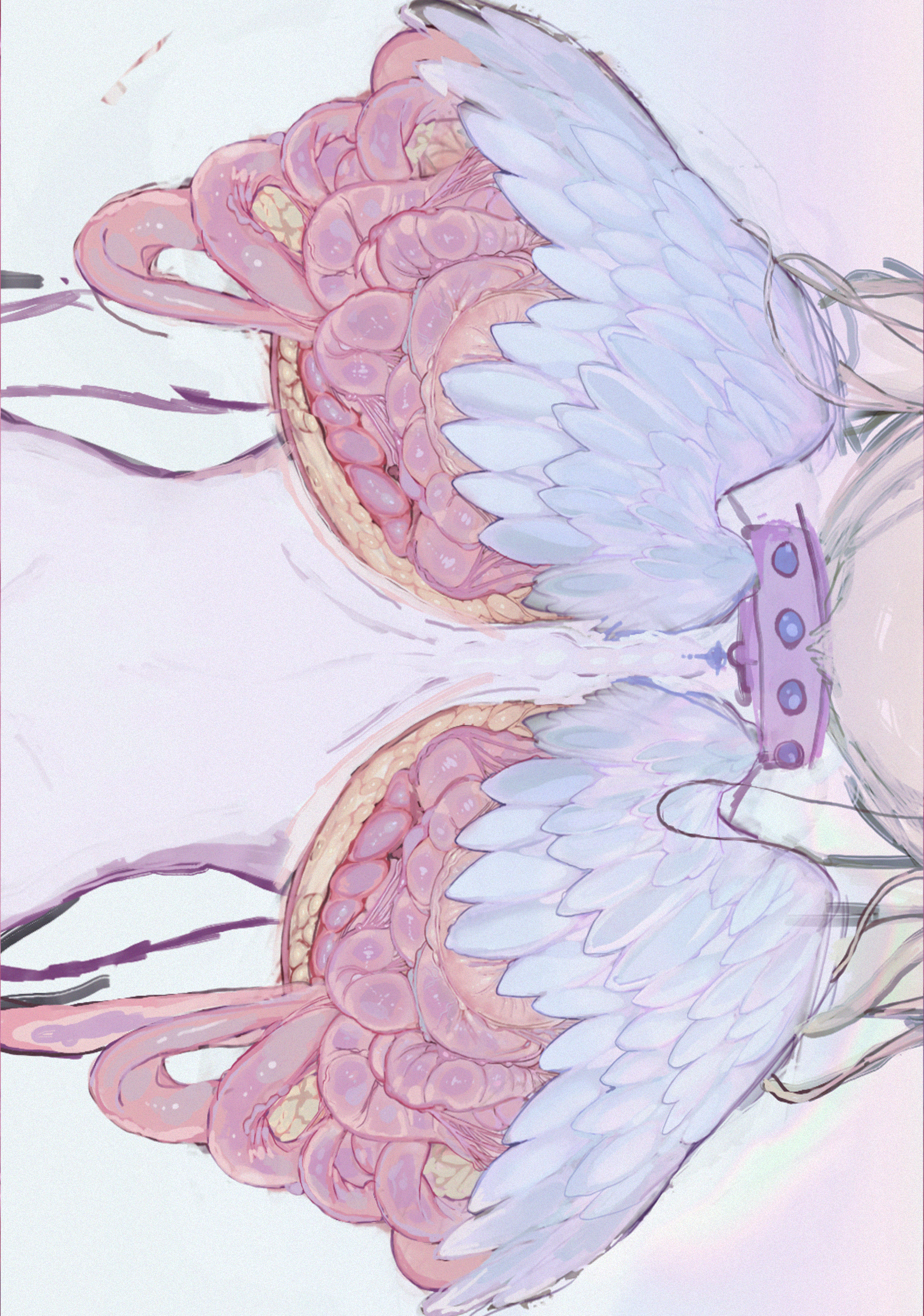 postcard5.png-autosave.png