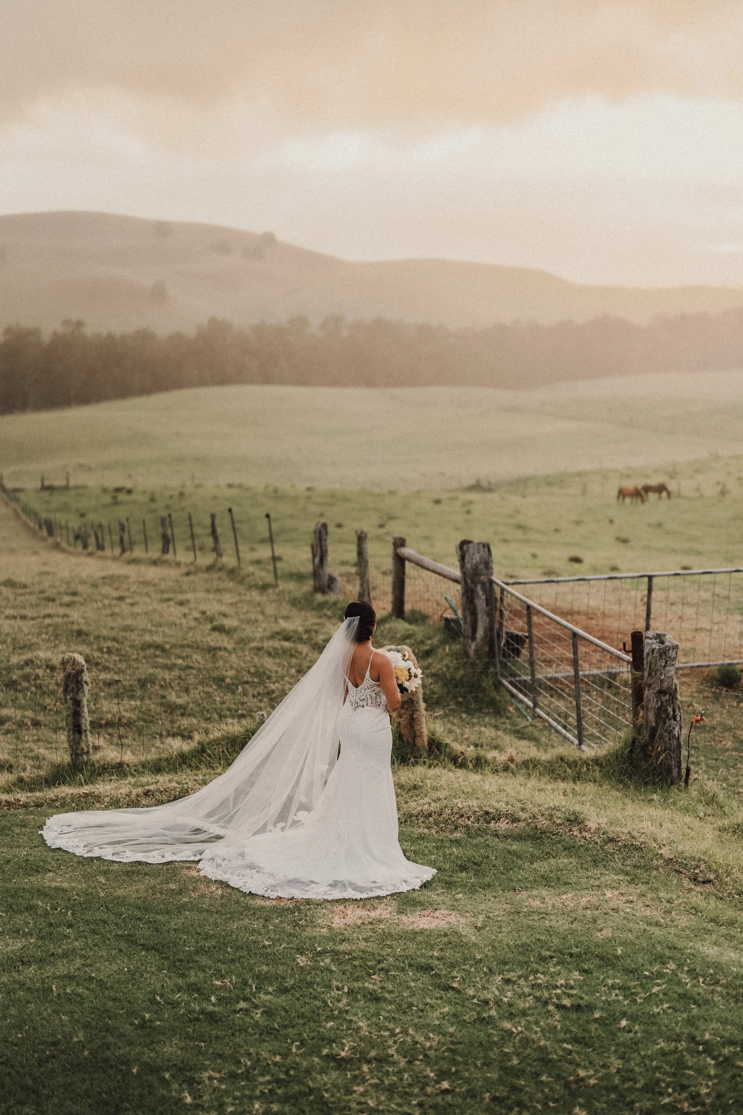 A bride in a white wedding dress and veil stands on a grassy field holding a bouquet, facing away, with rolling green hills, fences, and horses in the background.