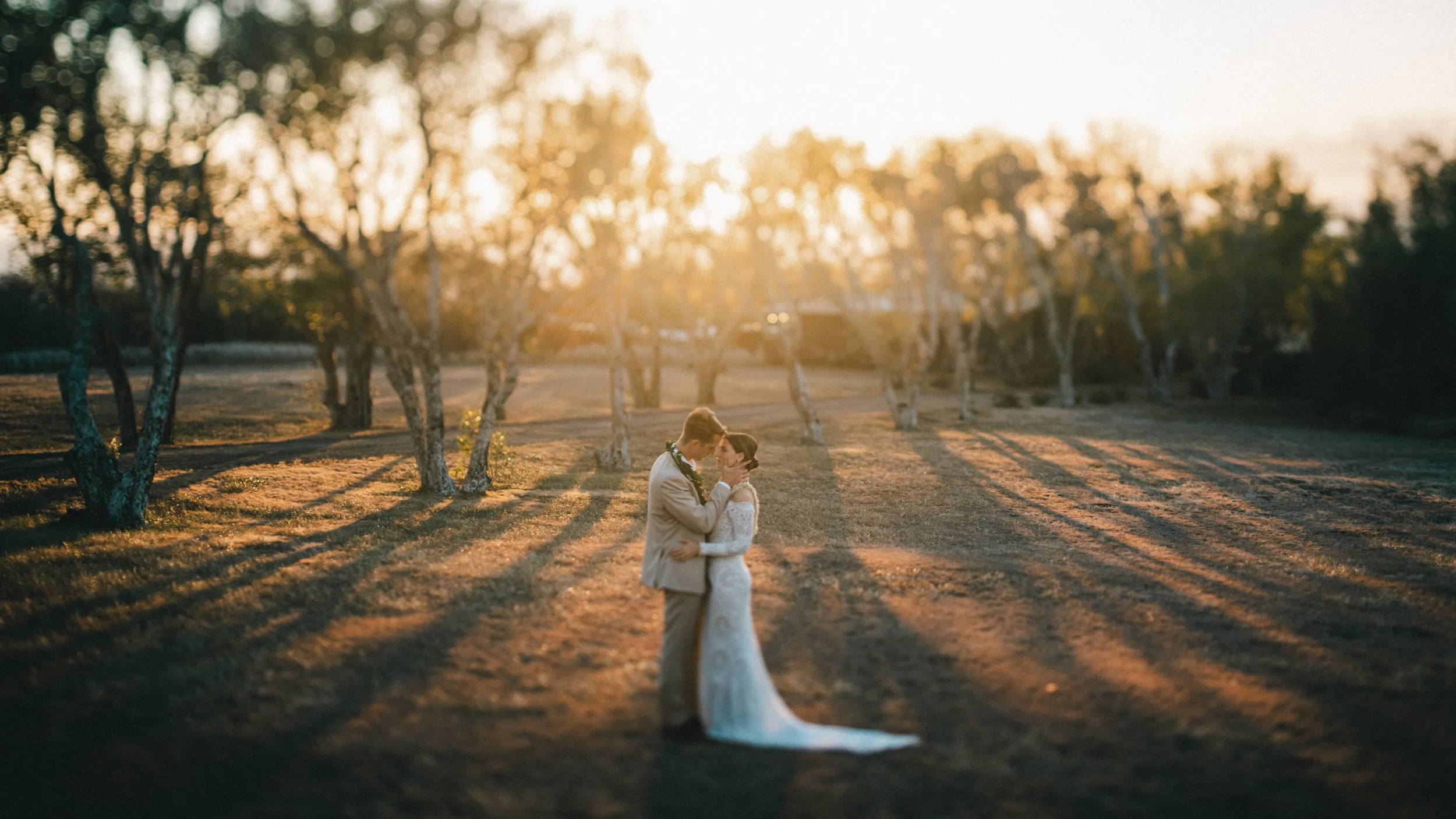 A bride and groom sharing a kiss in a field at sunset, surrounded by trees with long shadows on the ground.