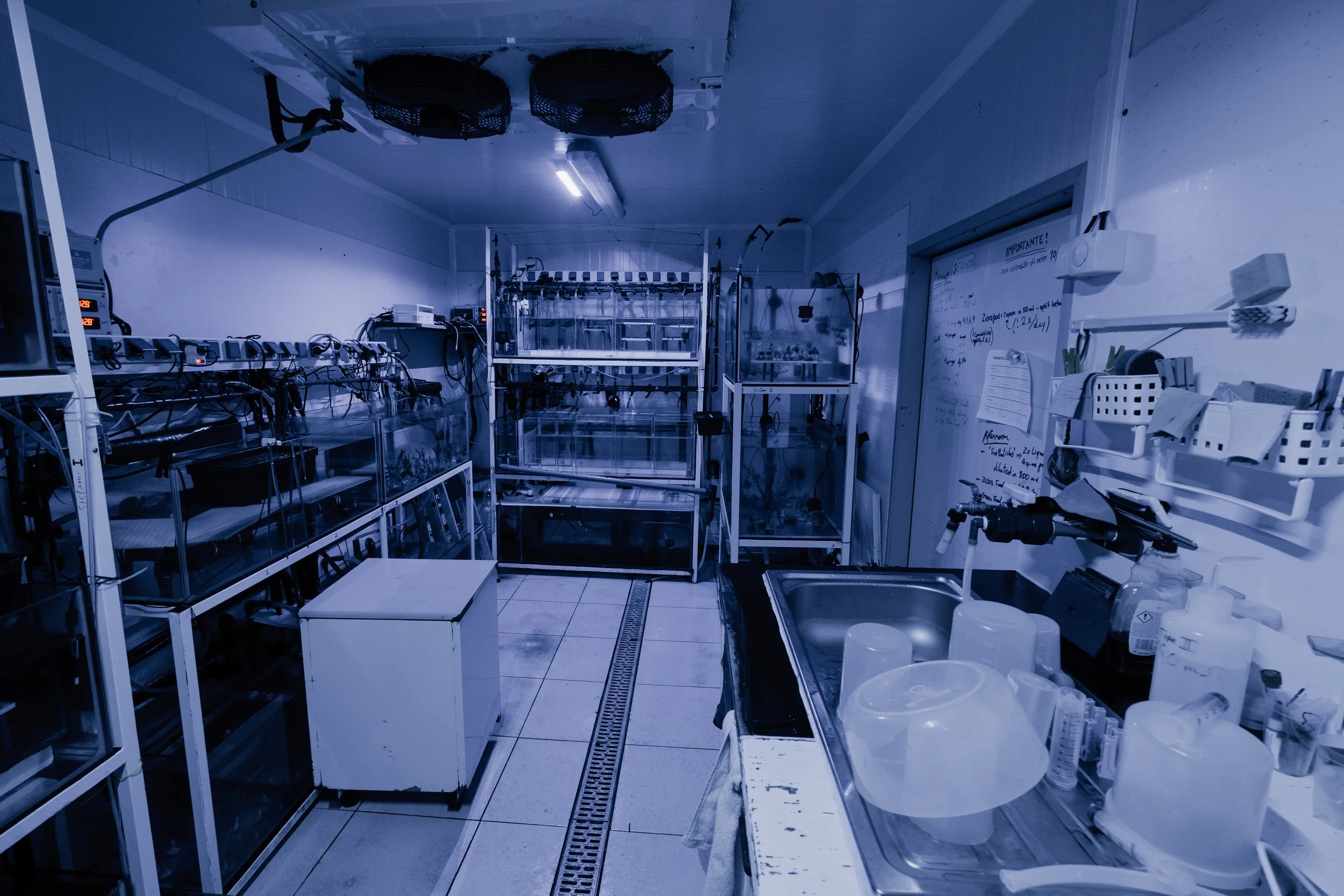 A4 laboratoř UV.jpg