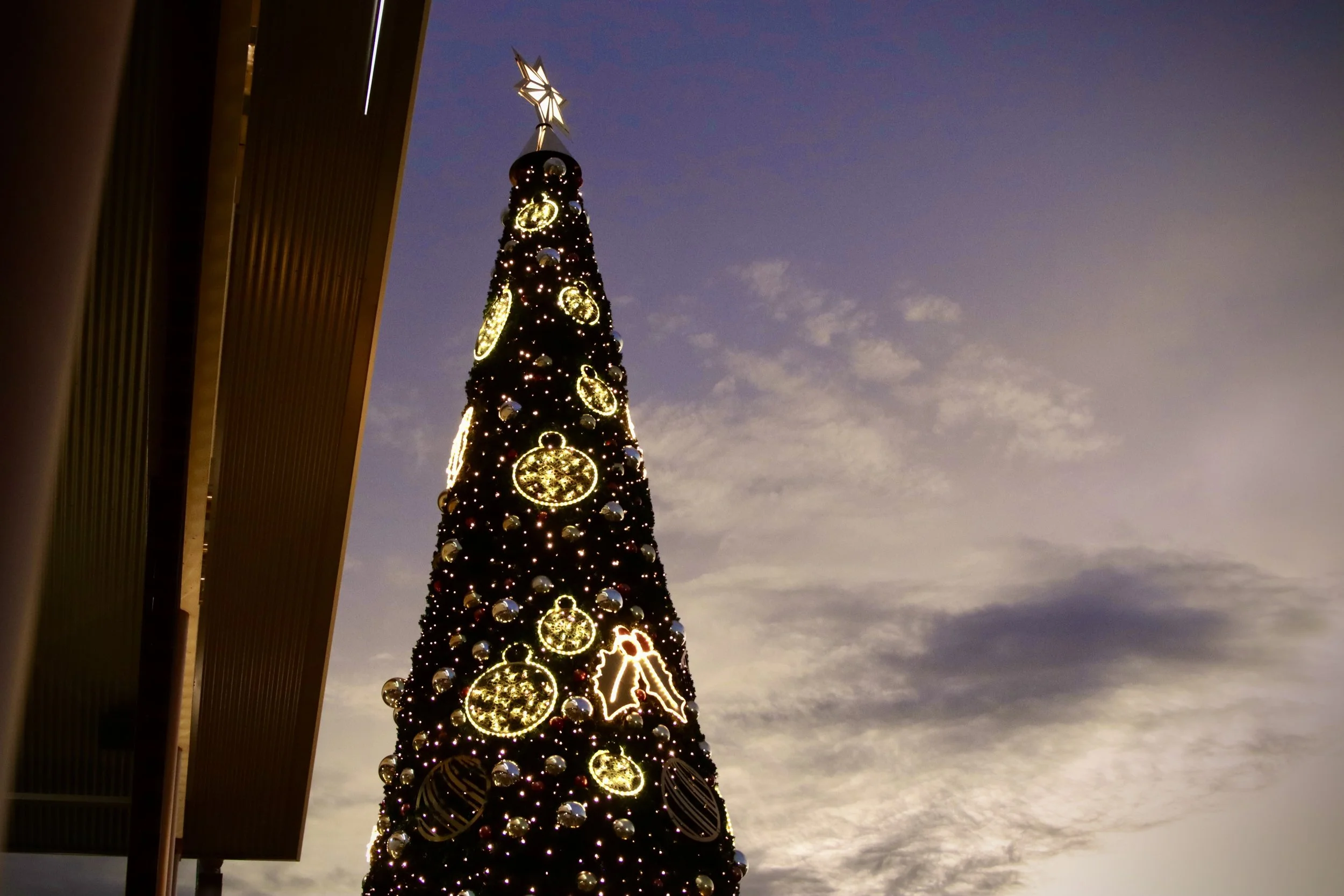 Goldtower’s Christmas Cheer