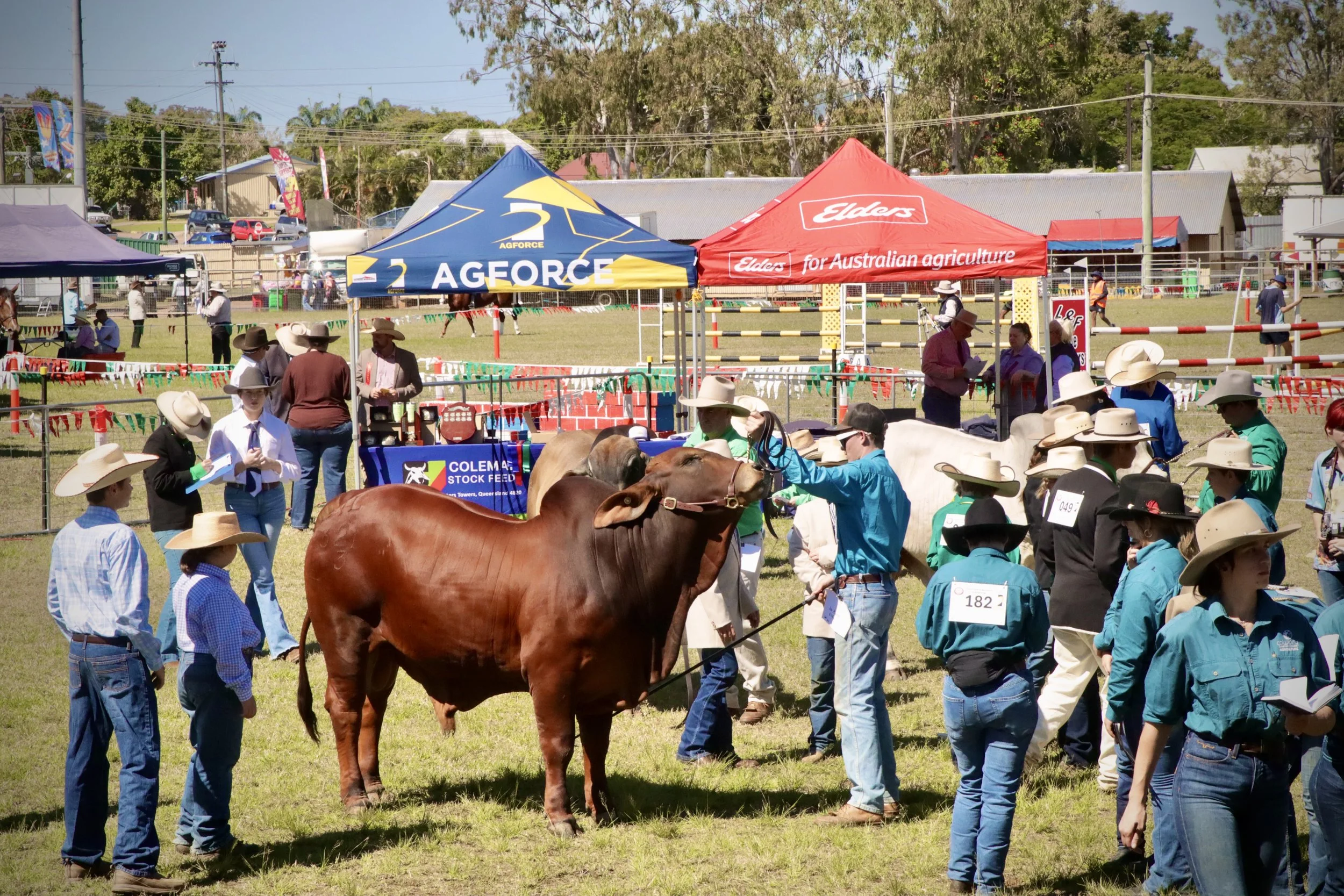 2026 Charters Towers Show - SCHEDULE 