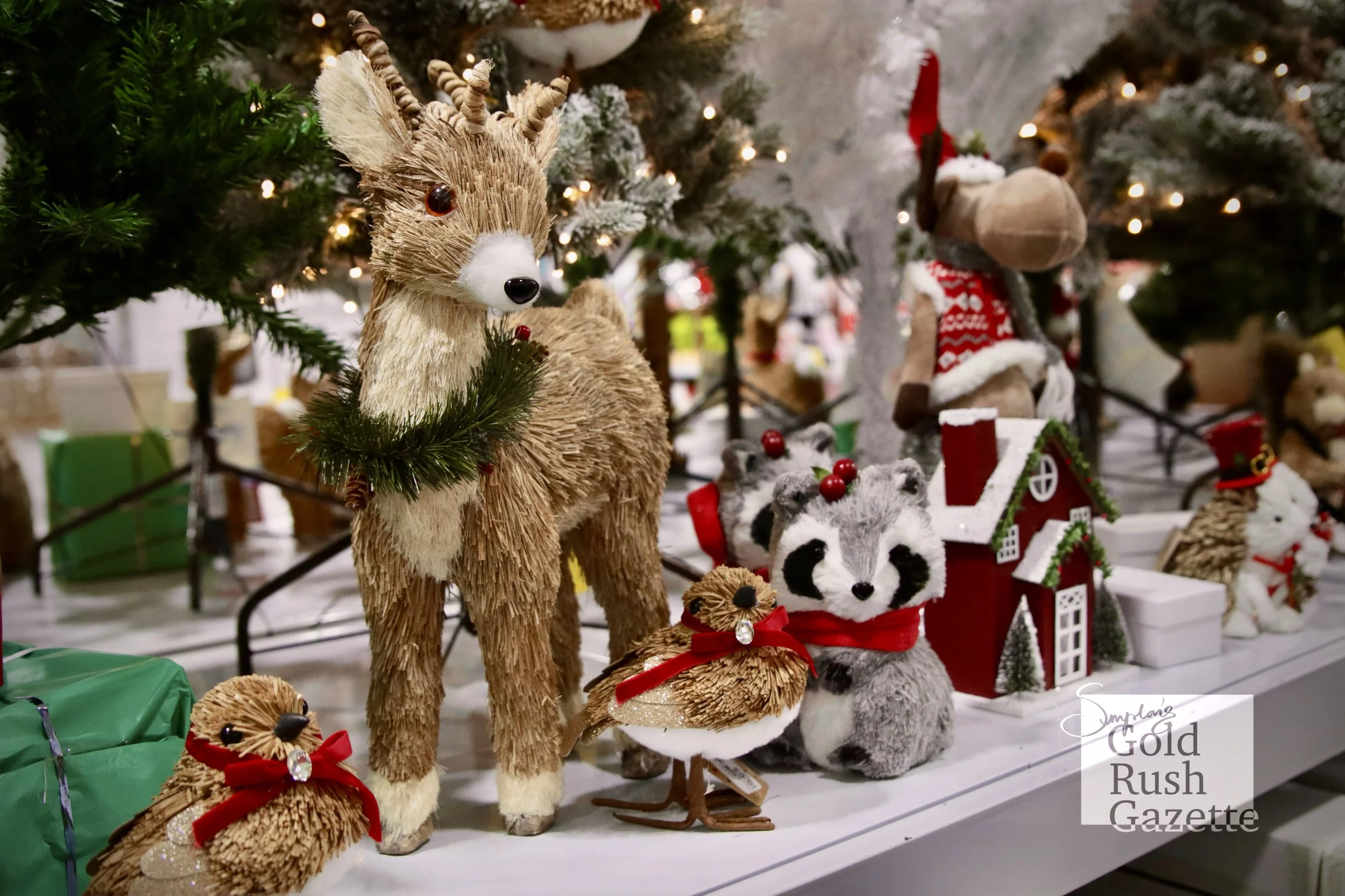 Christmas products at Choice the Discount Store within Goldtower Central (2024)