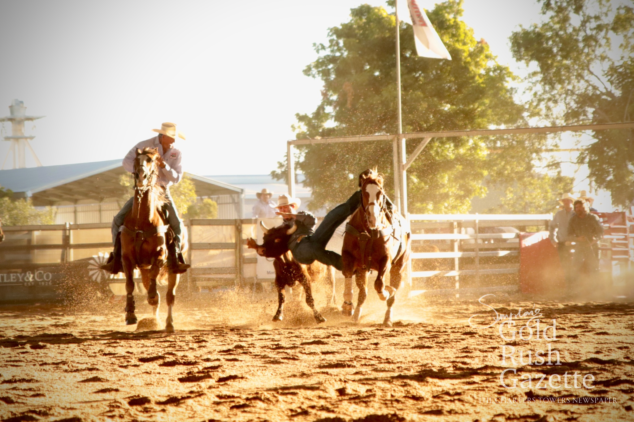 The 2025 Heart of the Goldfields Charters Towers Rodeo