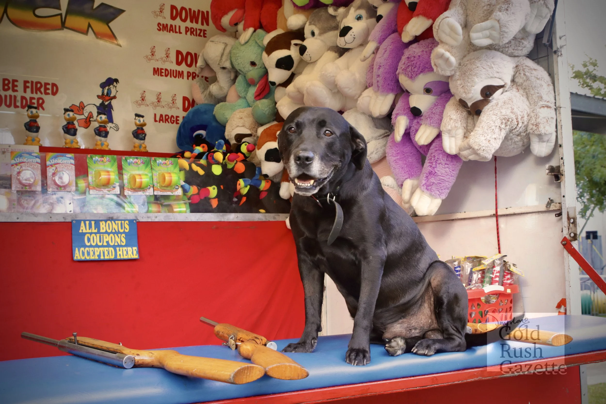 The 2023 Charters Towers Show
