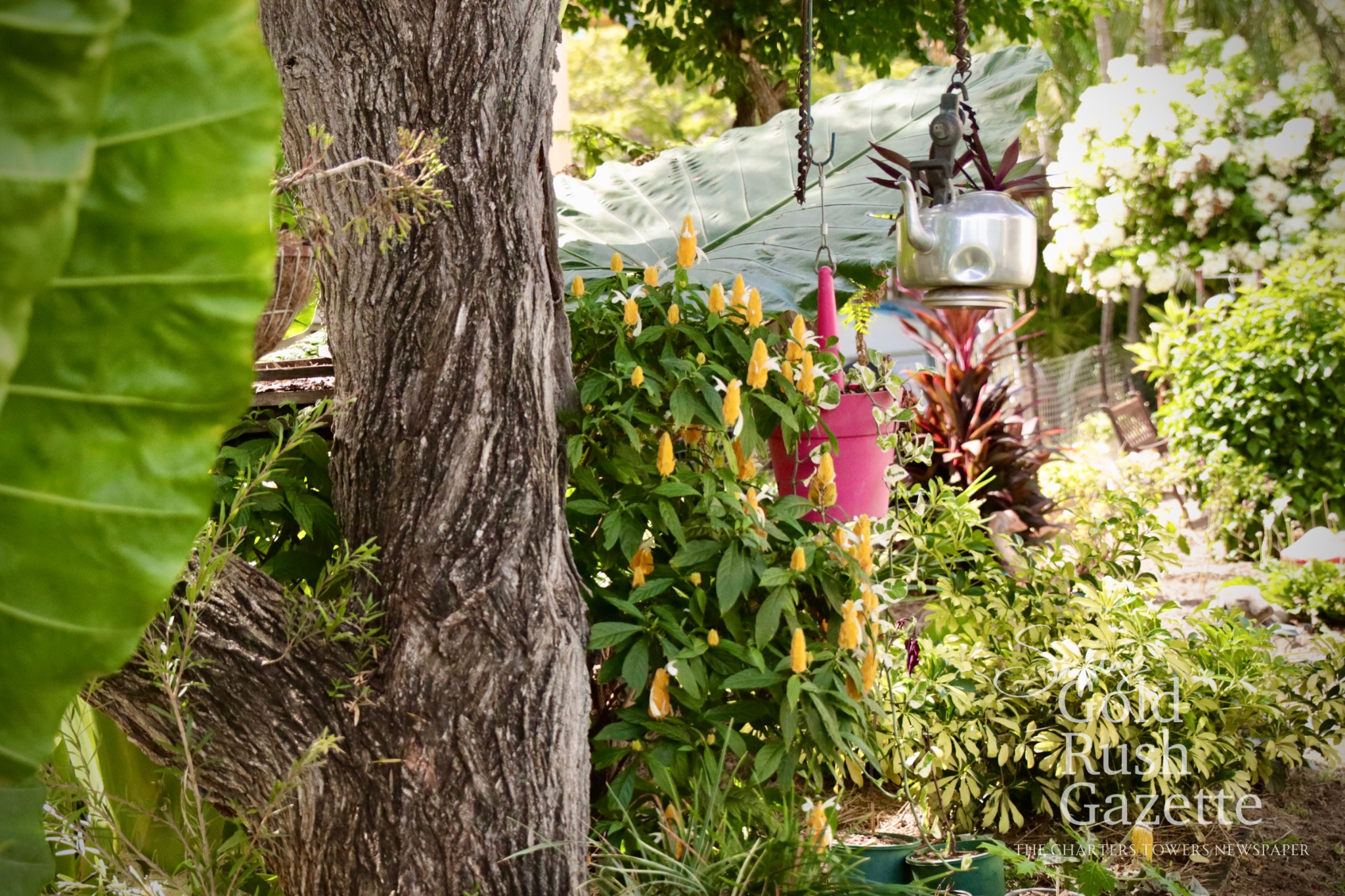 Tthe Great Spaces of Charters Towers location Stubley Street Garden (2026)