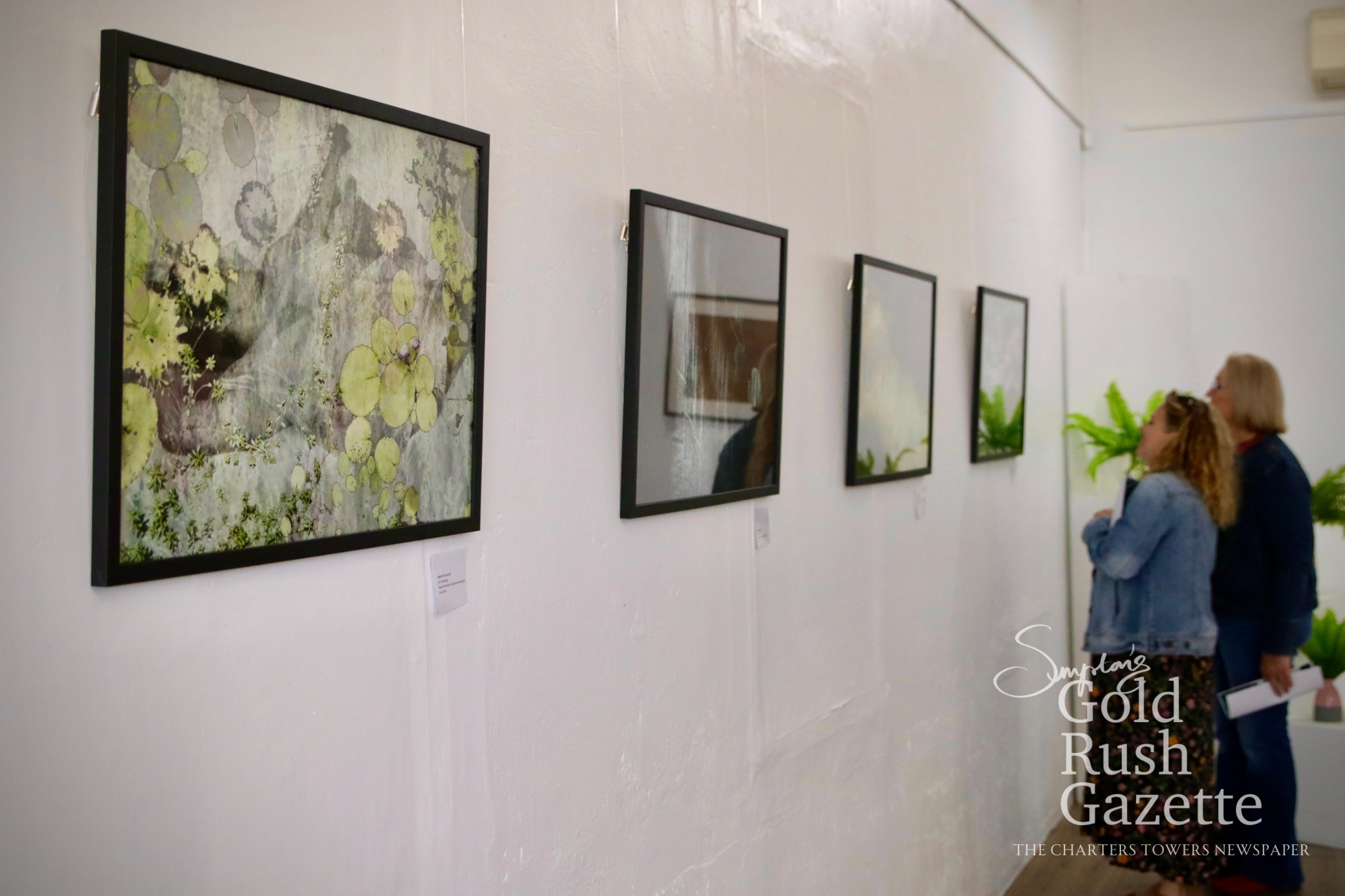 North Queensland artist Ann Vardanega’s Wrapped in Nature exhibition at the Mike Carney Arts Centre (2026)