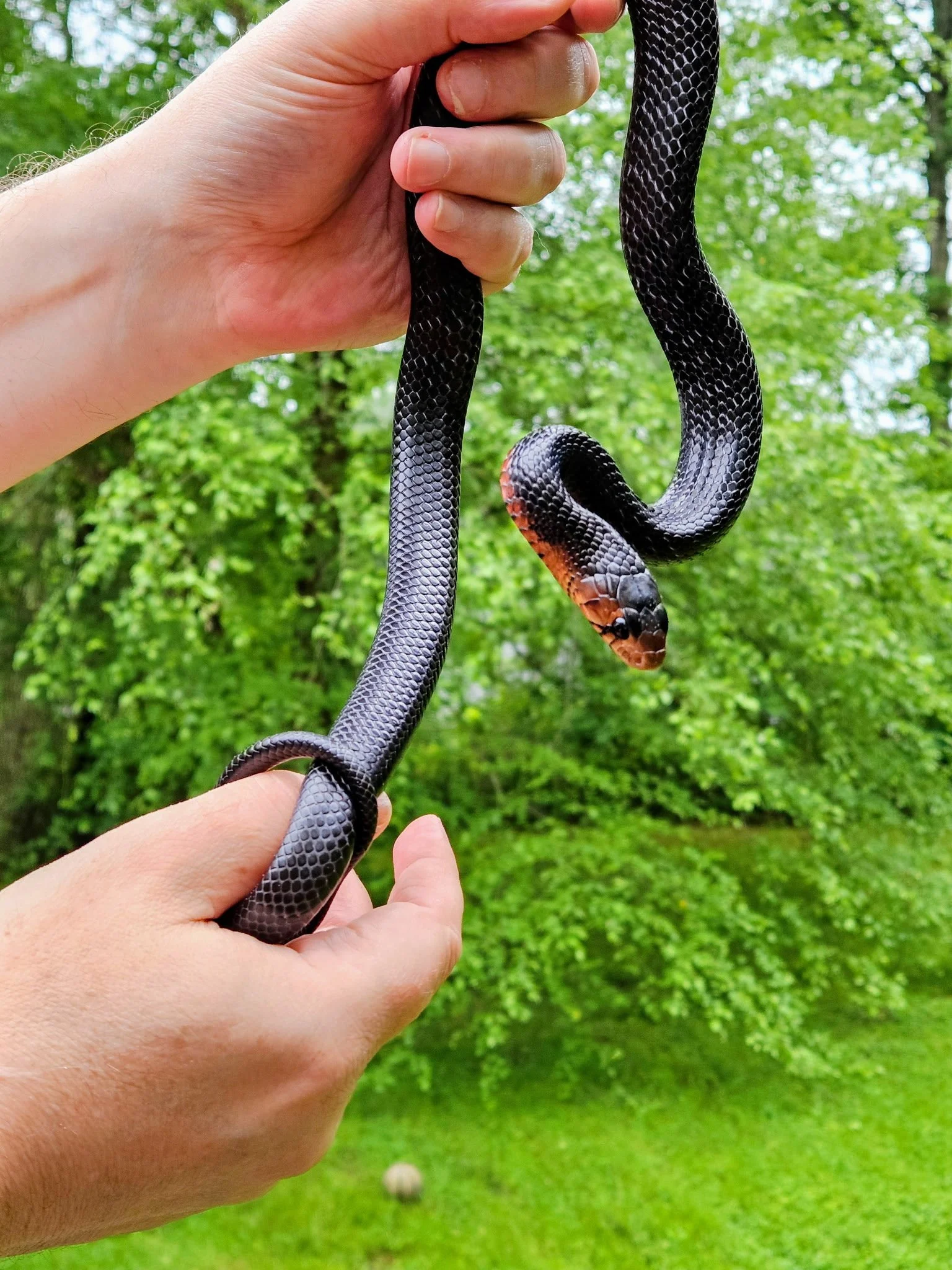 Shadow - Chris May.jpg