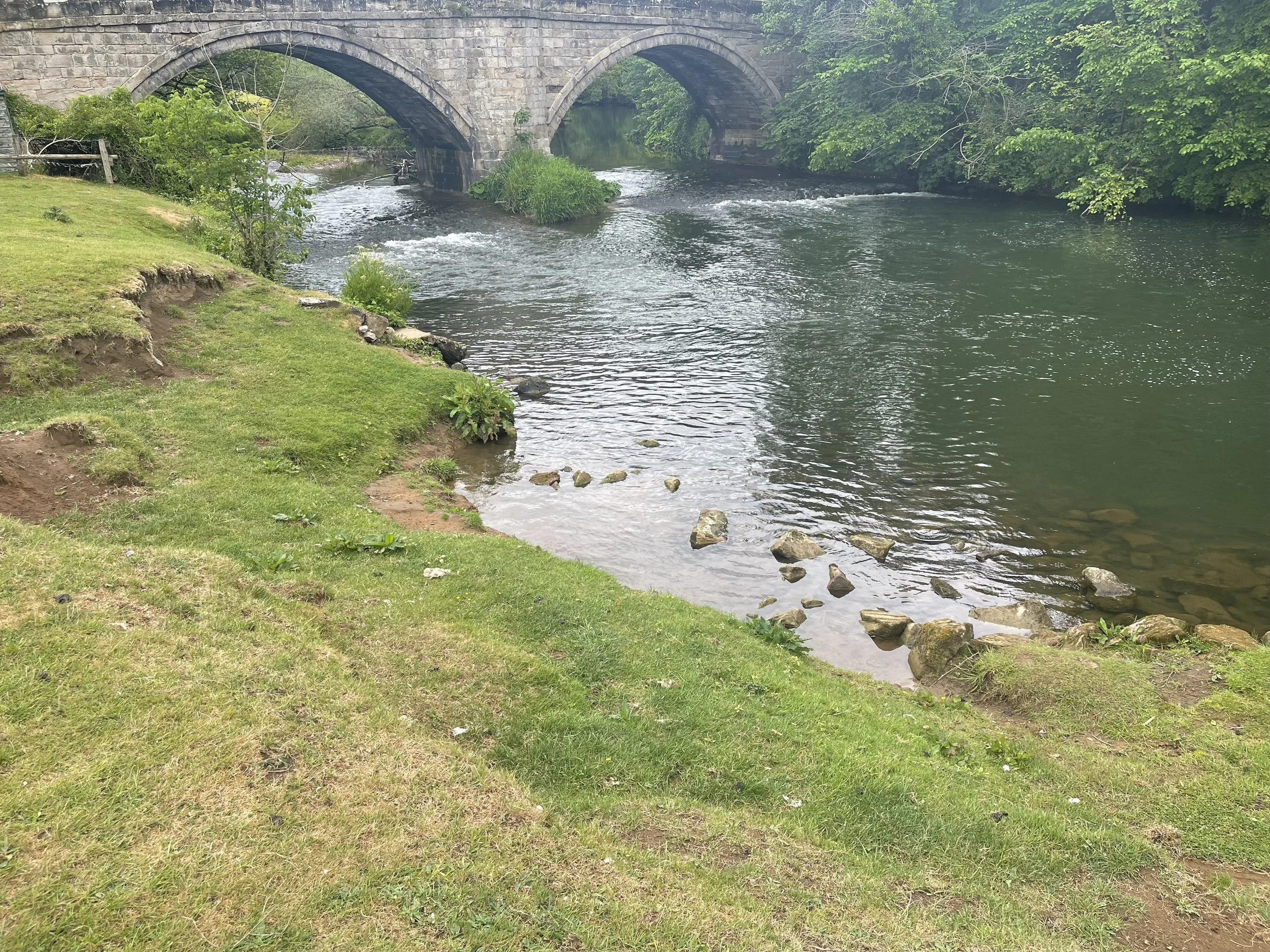 IMG_4554.jpeg