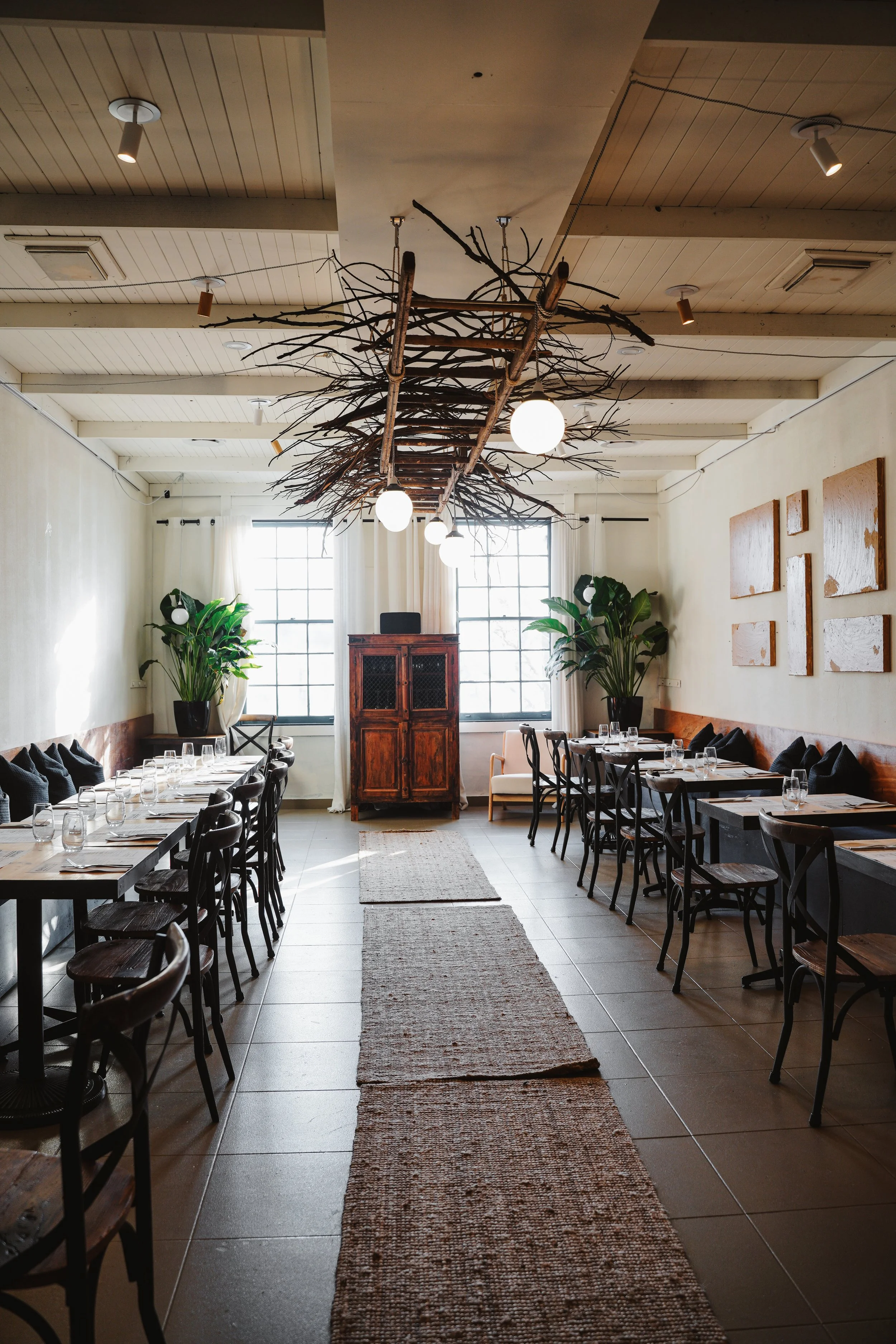A dining area in a restaurant or cafe with wooden tables and chairs, large potted plants, wall art, and a unique ceiling fixture made of branches with hanging lights.