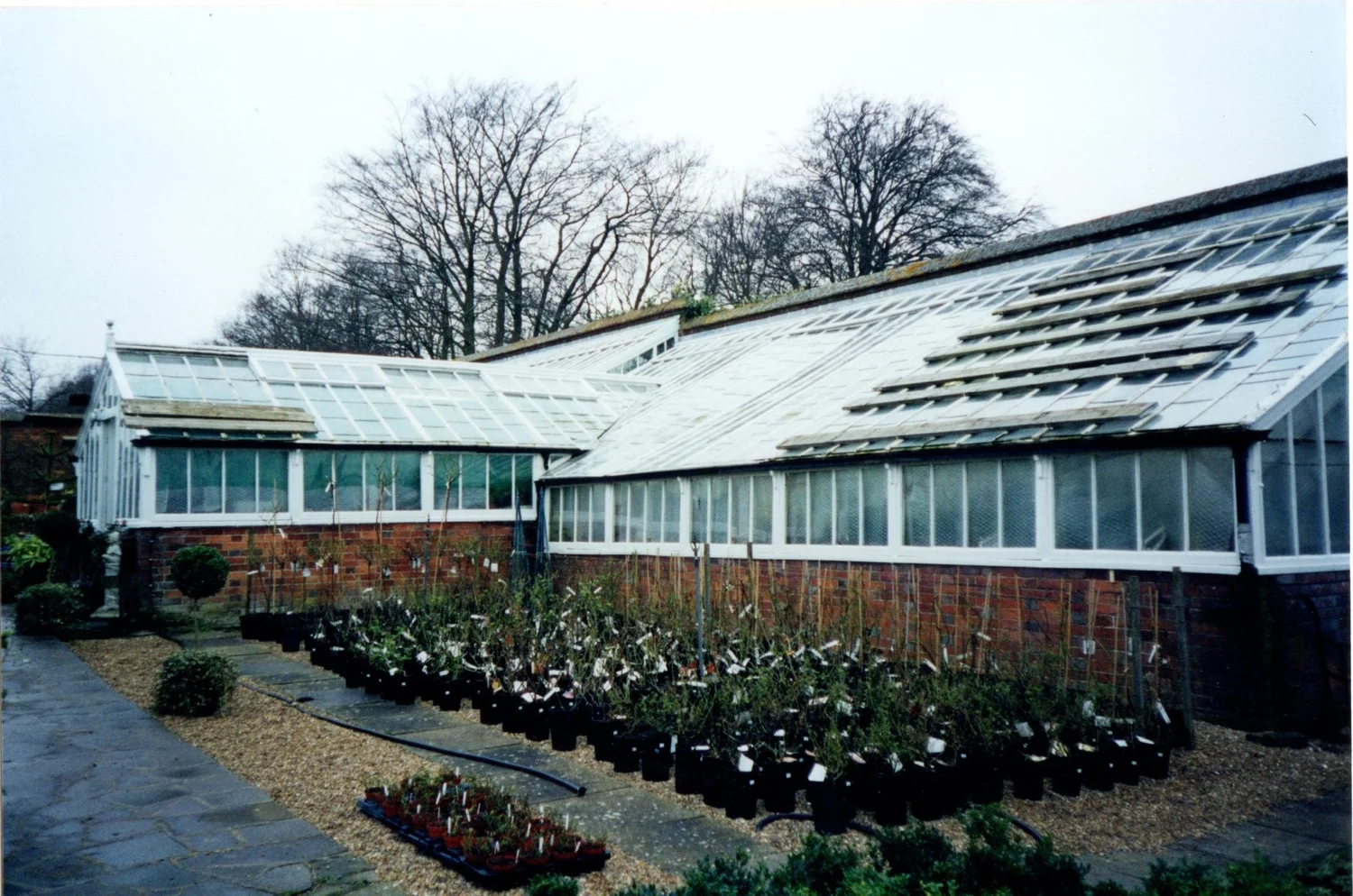The history Of Orchard Nursery Plant Centre — Orchard Nursery, East ...