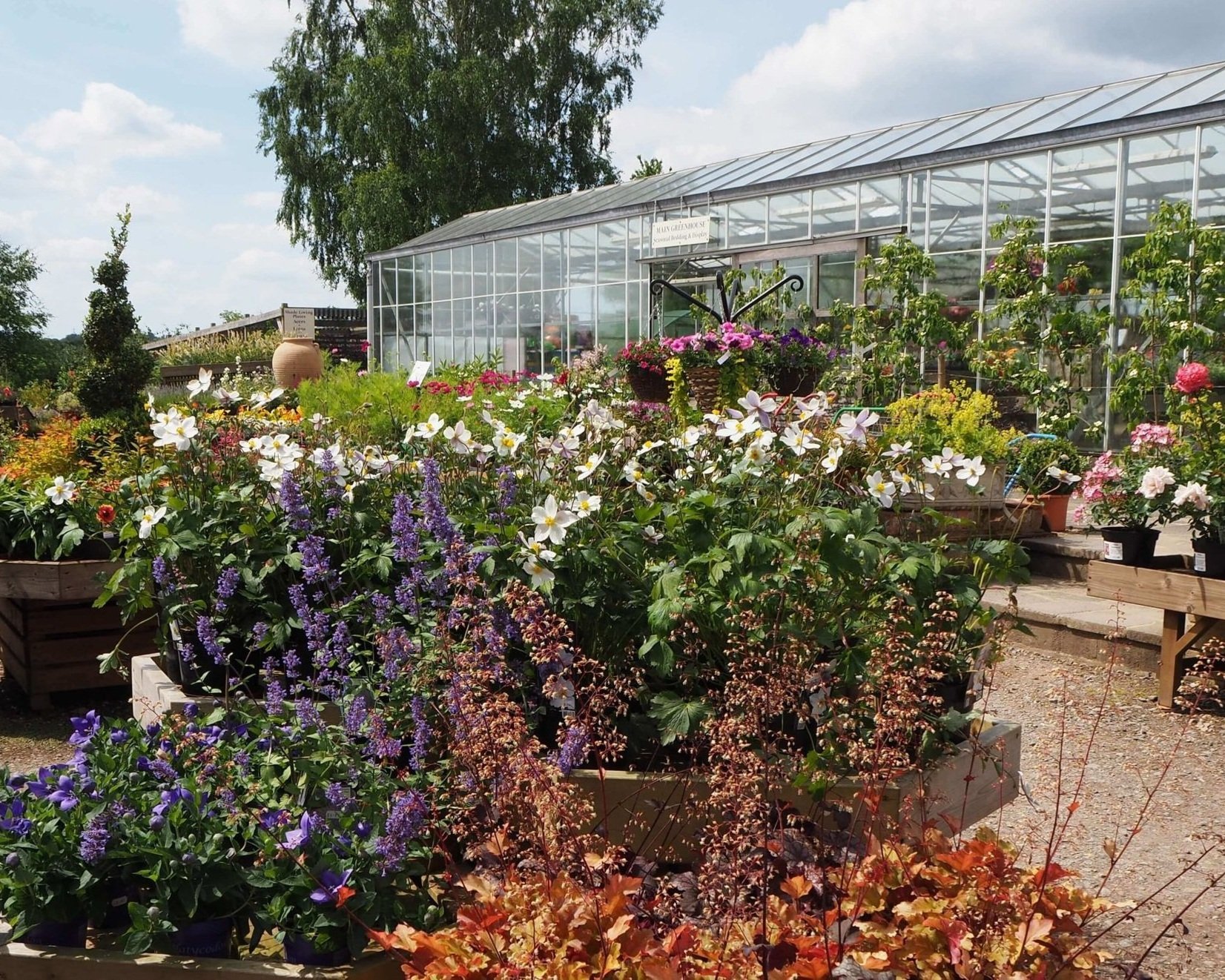 Displays in new courtyard area