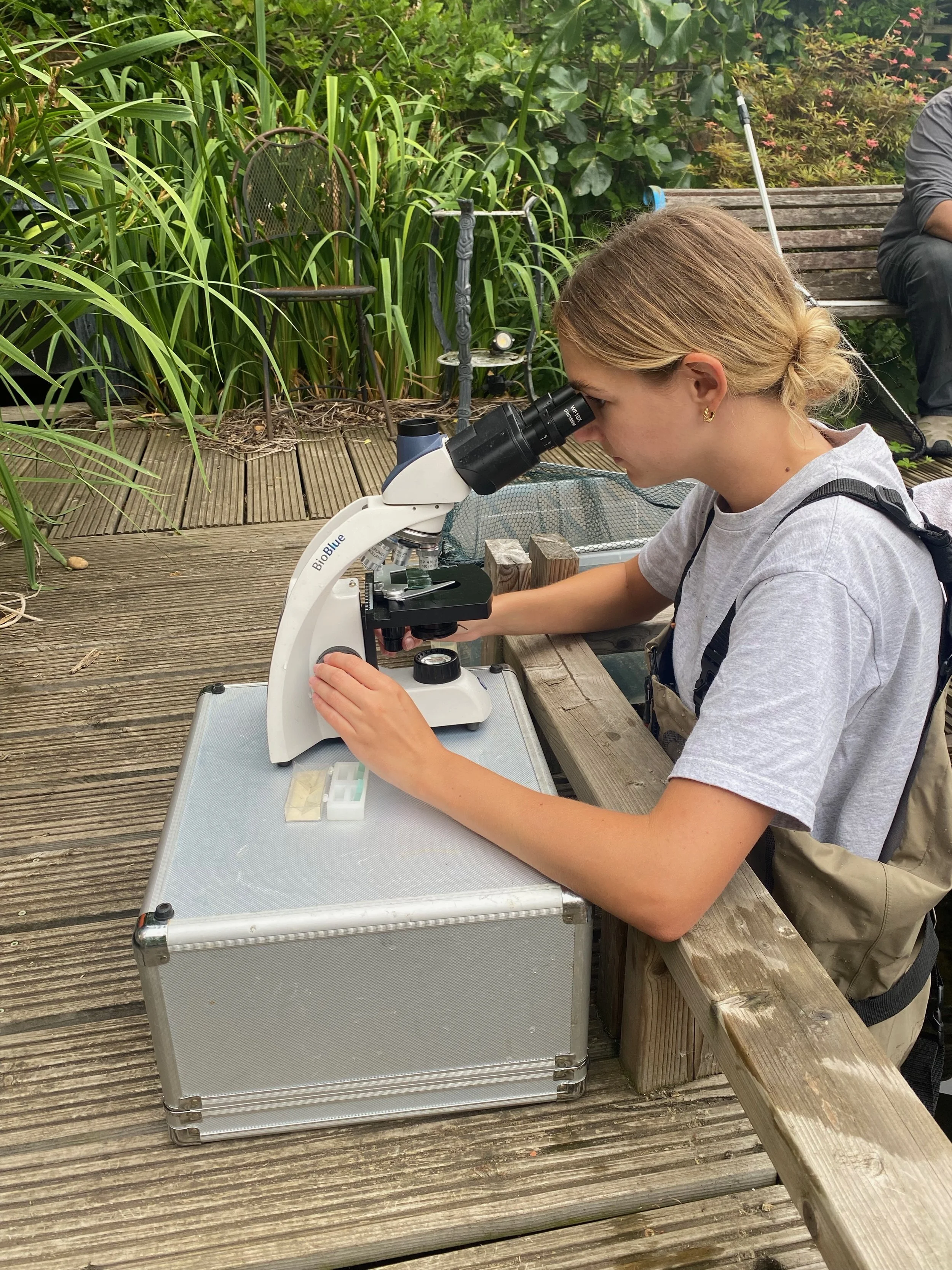 Dr Bryony Chetwynd-Glover using microscope next to pond