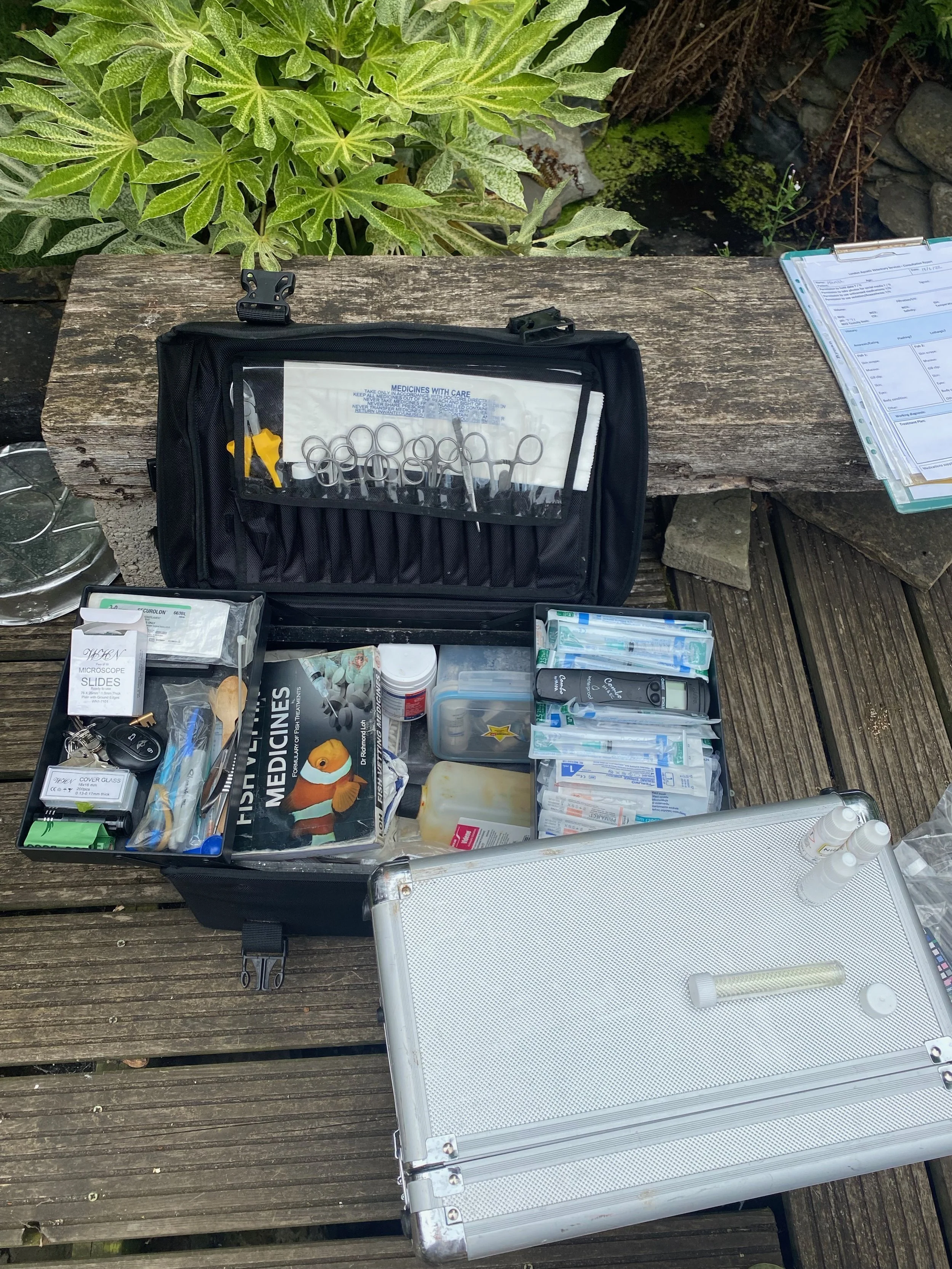 13 Rules When Medicating Your Pond