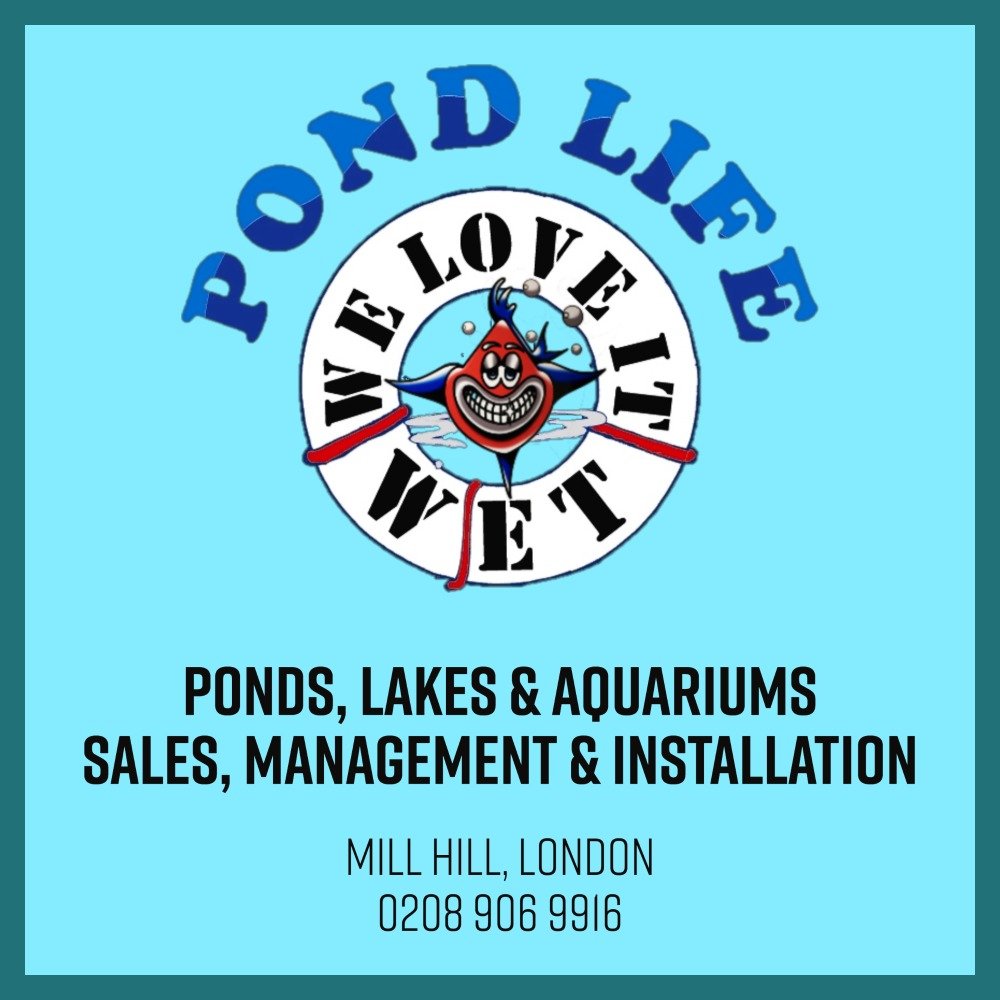 Pond Life Advert 1000x1000-1.jpg