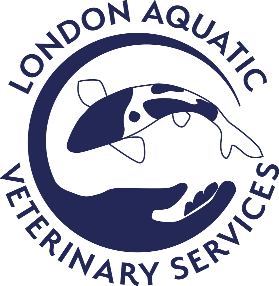 London Aquatic Veterinary Services