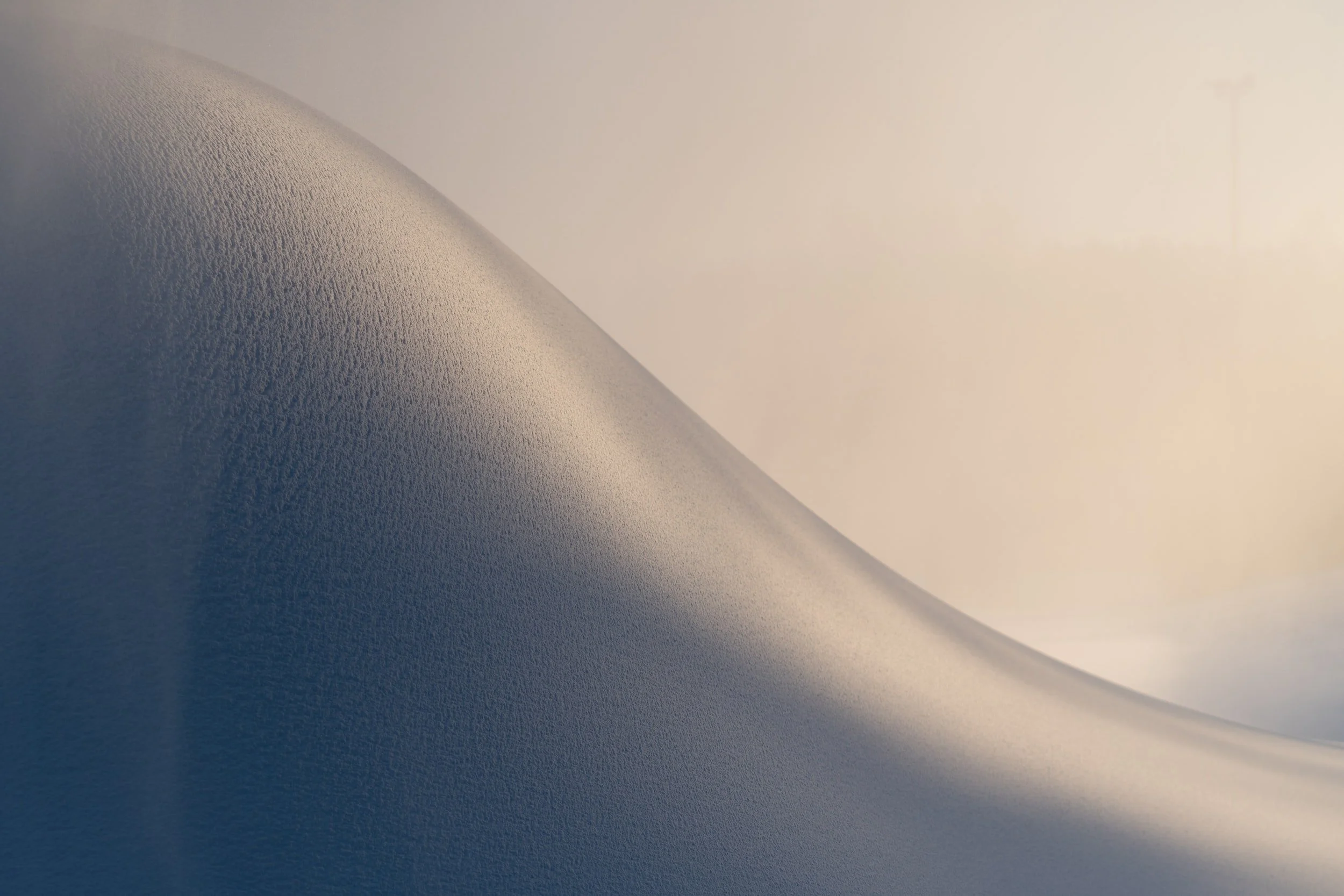 unsplash-image-27NuQ4vZTwo.jpg