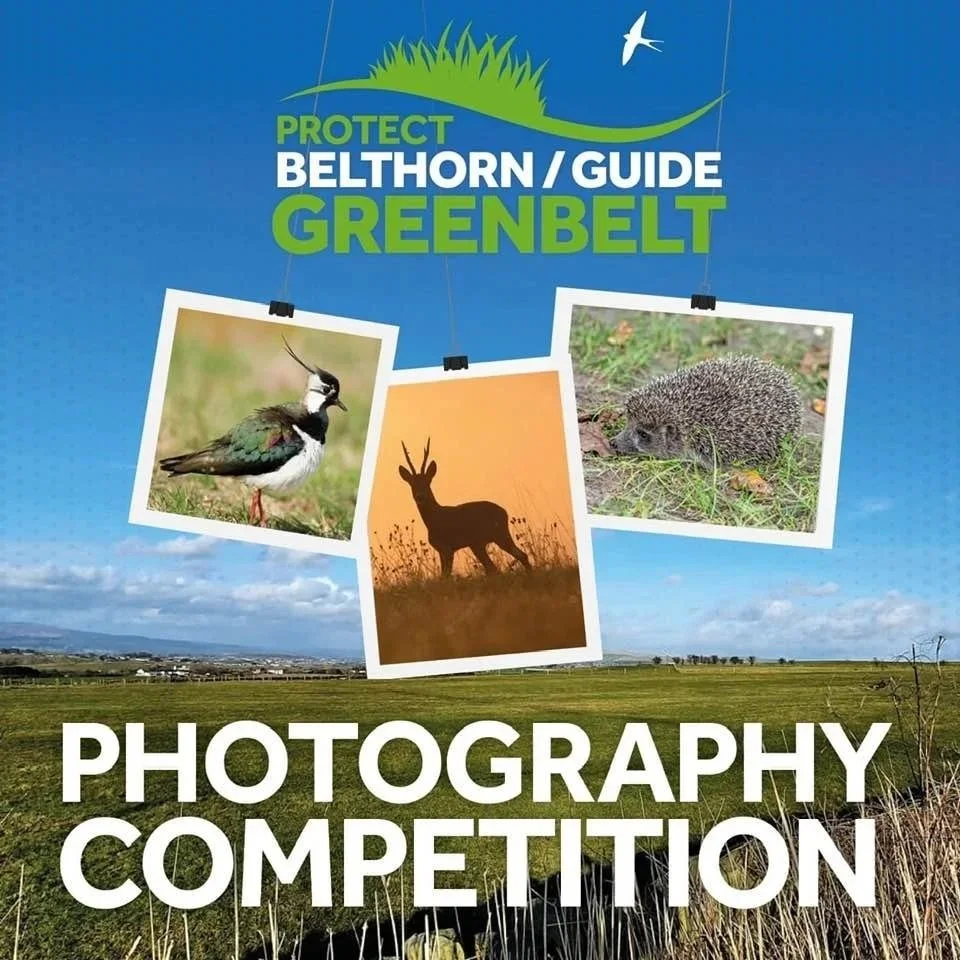 Protect our Green Belt Photography Competition