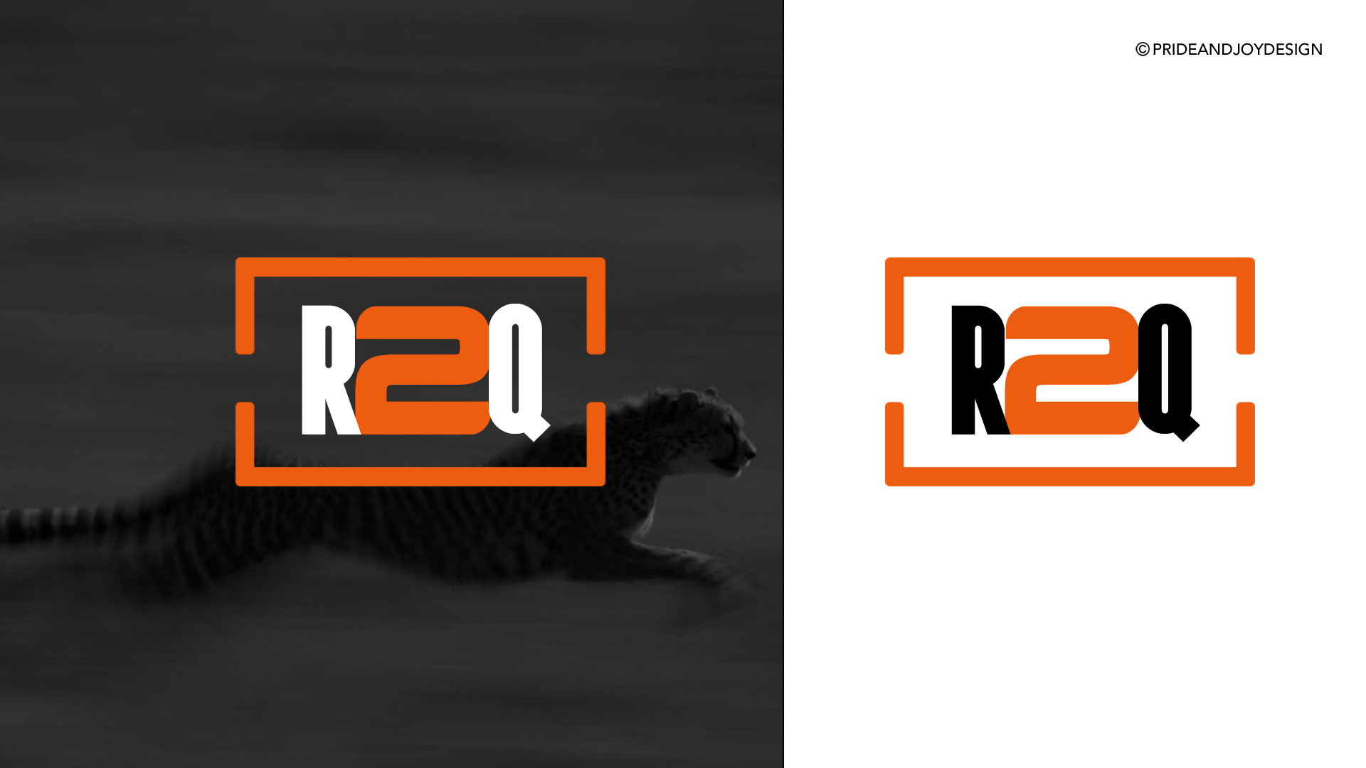 IMAGE_5.png
