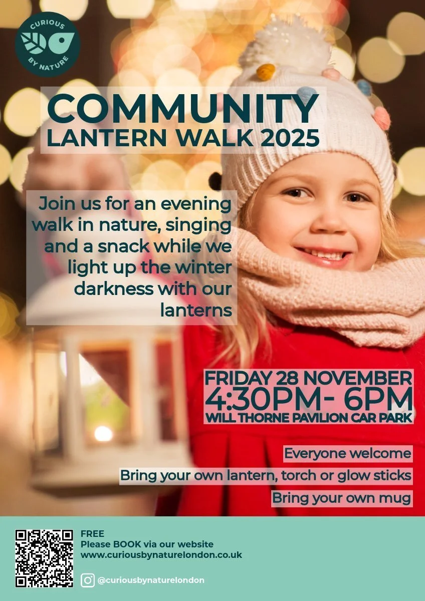 Community Lantern Walk 2025