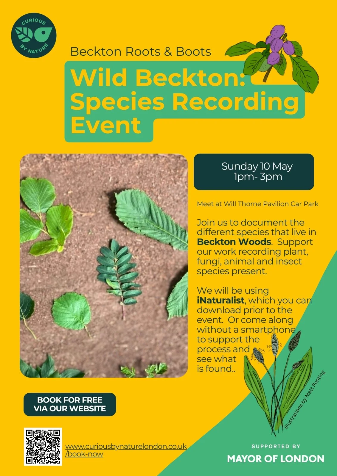 Wild Beckton May 2026.jpg