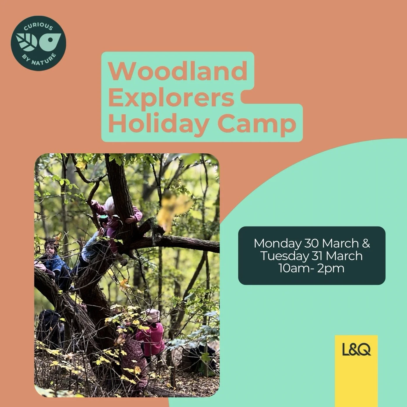 Woodland Explorers Camp March 2026.jpg