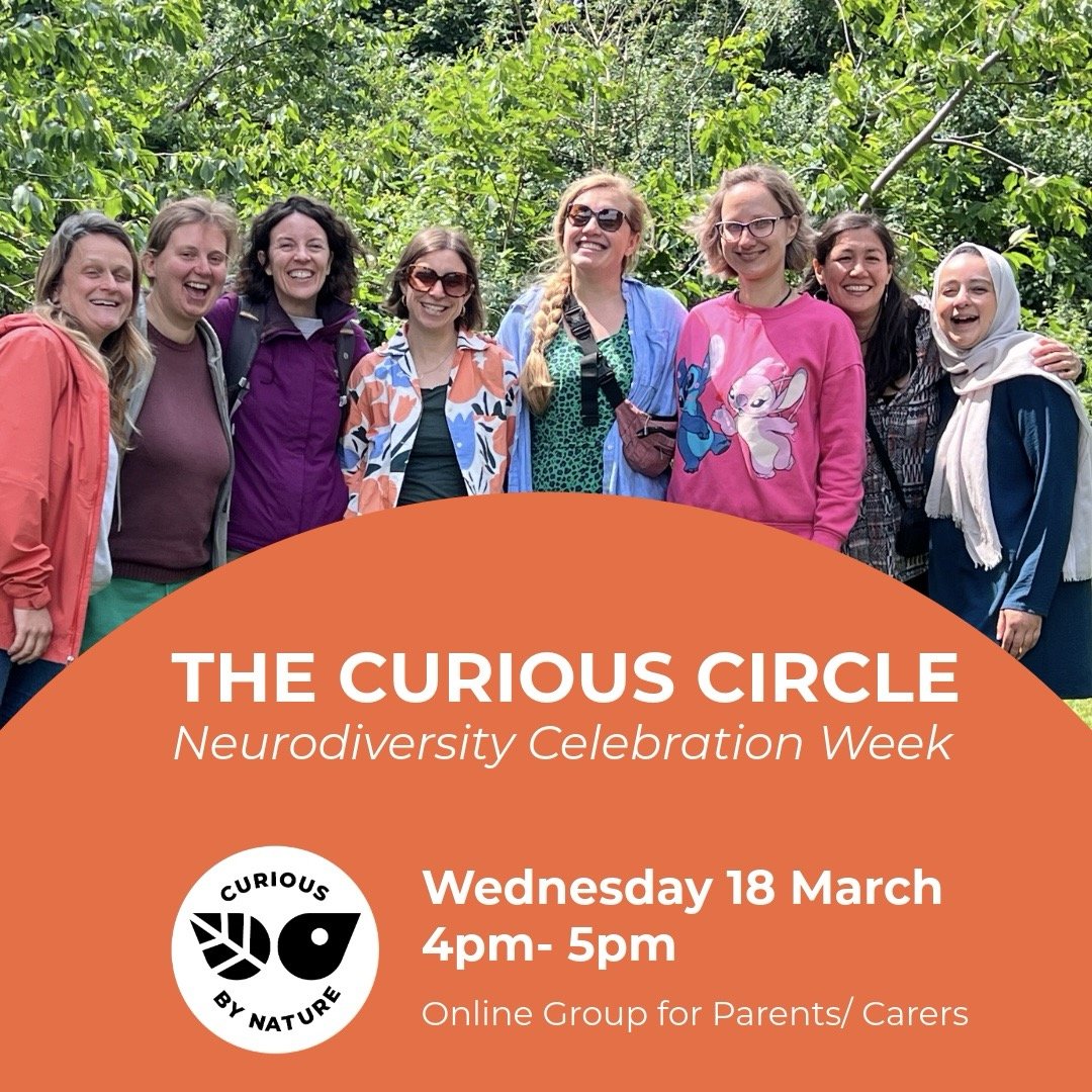 The Curious Circle.jpg