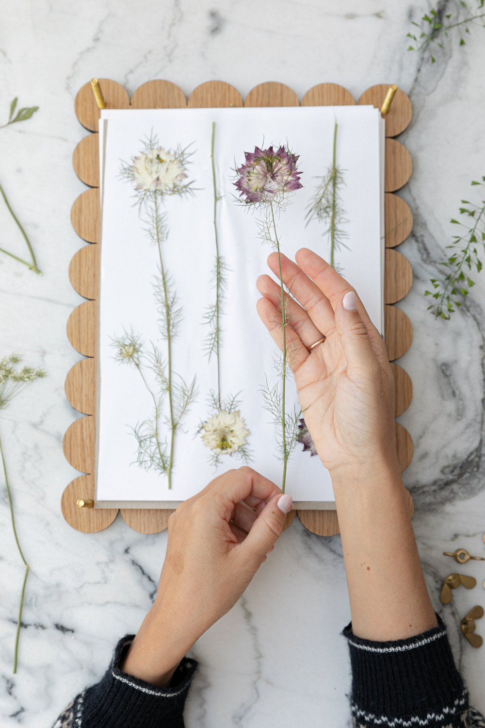 TRY THIS: DRIED FLOWERS, AN INEXPENSIVE DECOR ALTERNATIVE — Sofia Clara