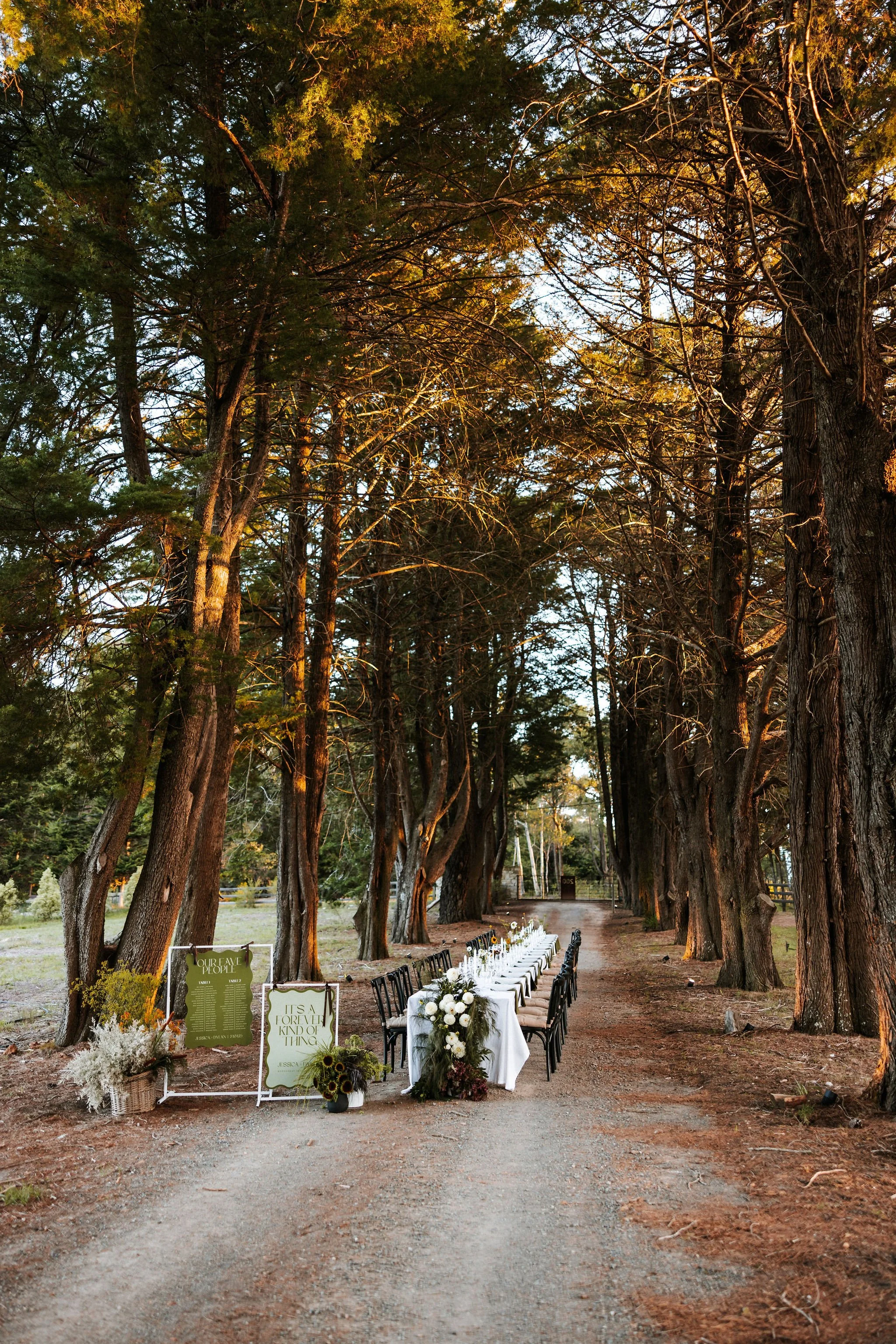 Welcome Sign - Forever Kind of Thing