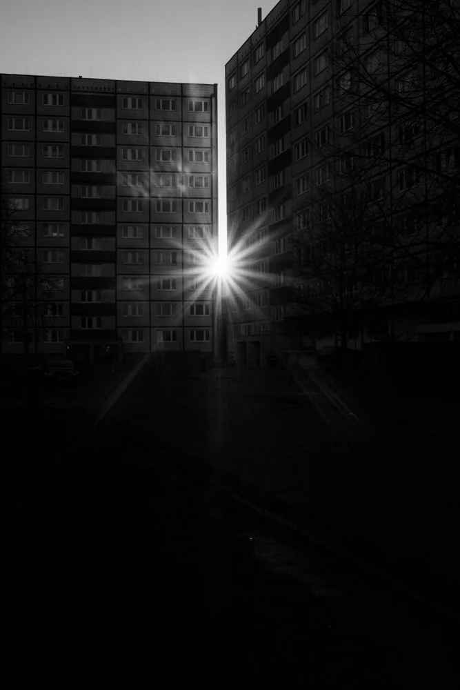 _DSF7344.jpg