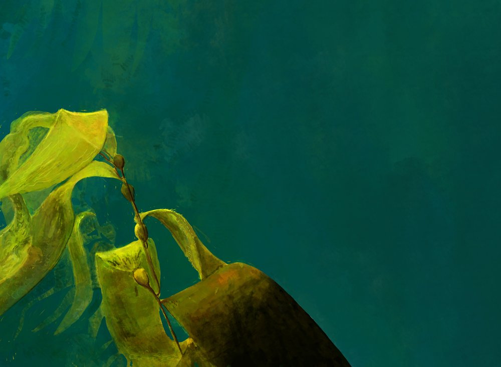 Close-up of a green plant with broad leaves against a blurred teal background.