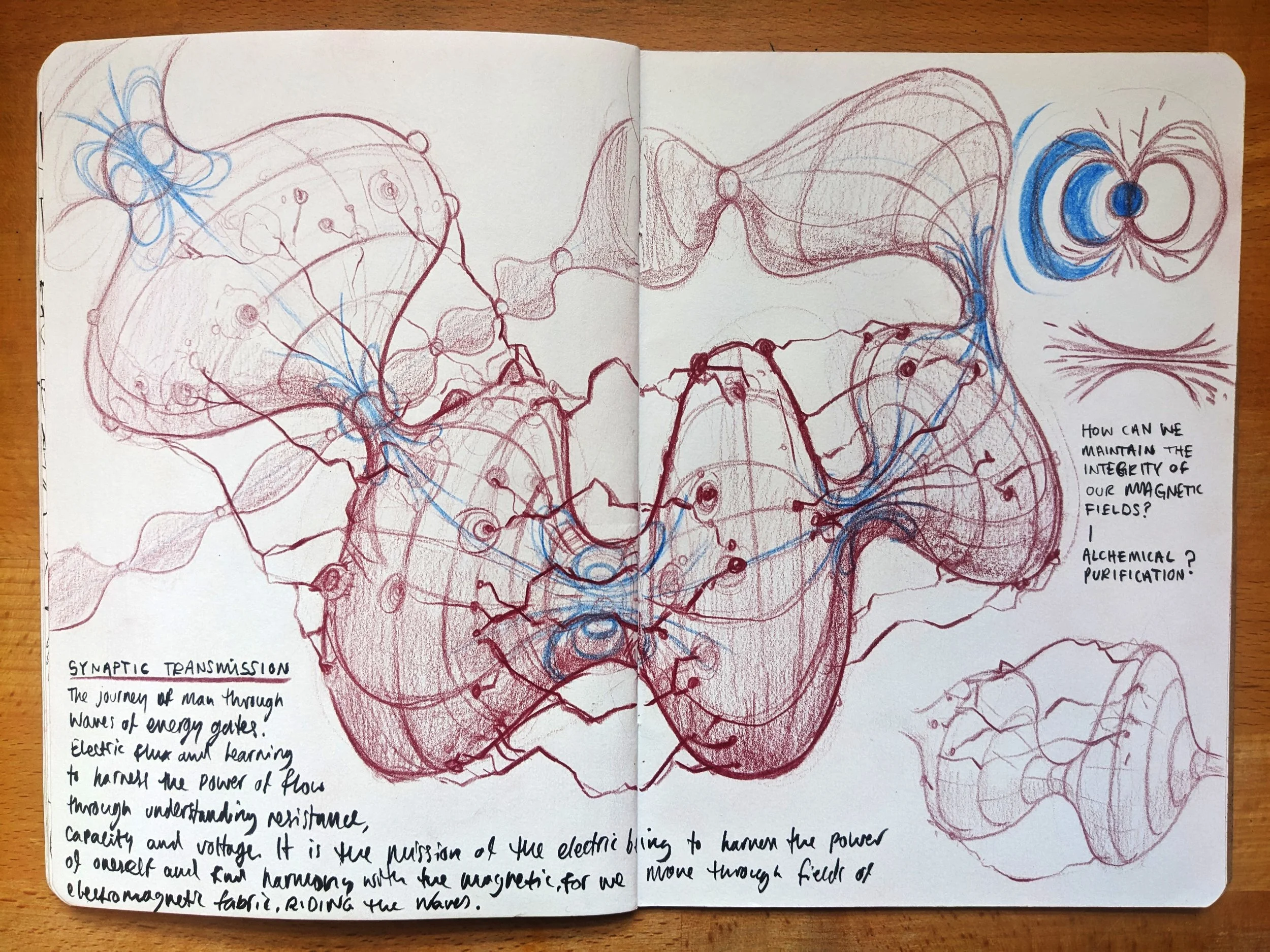 Sketches of butterfly wings with interconnected lines, notes, and questions about maintaining magnetic field integrity through alchemical purification and synaptic transmission.